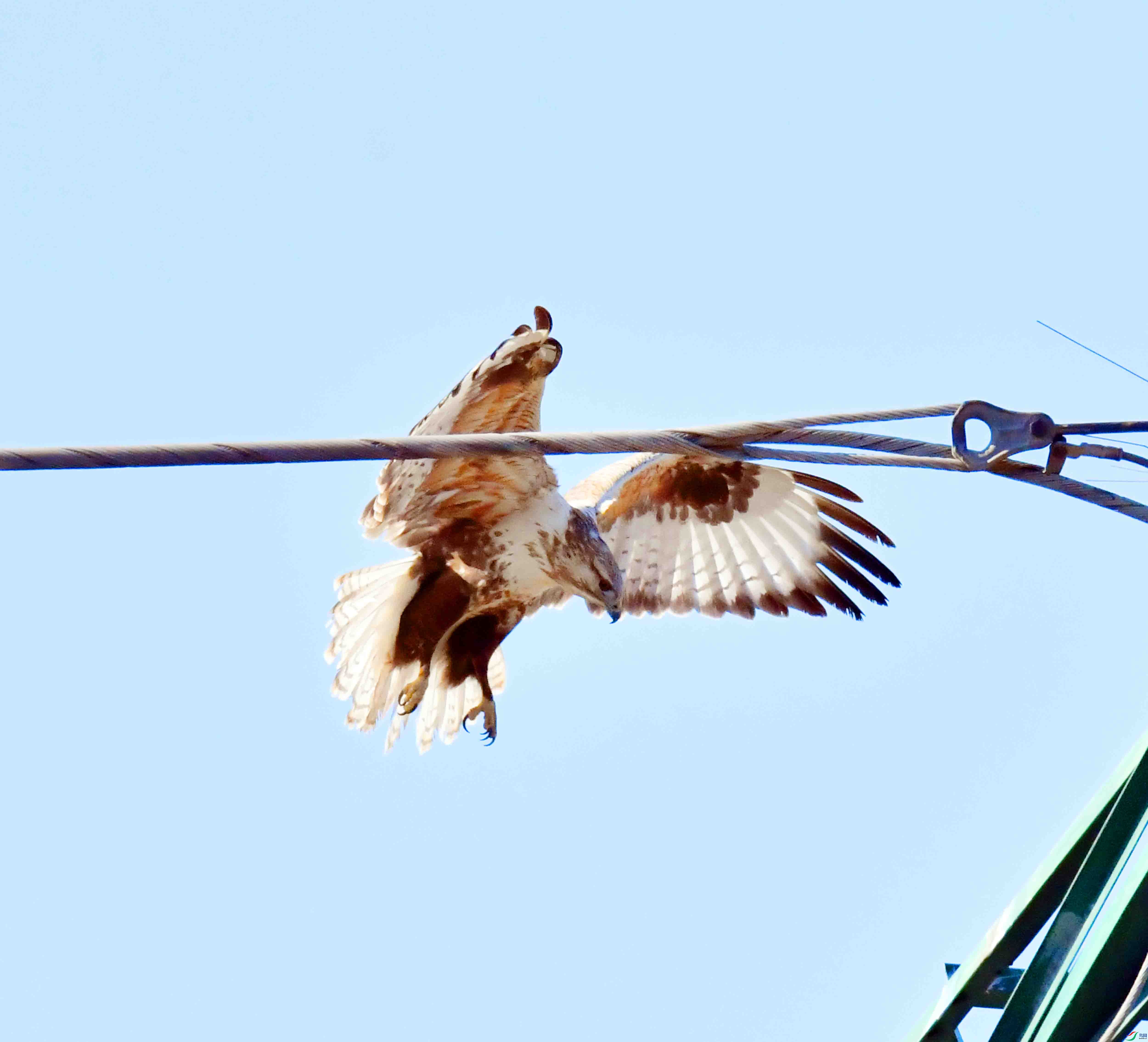 DSC_2046.JPG