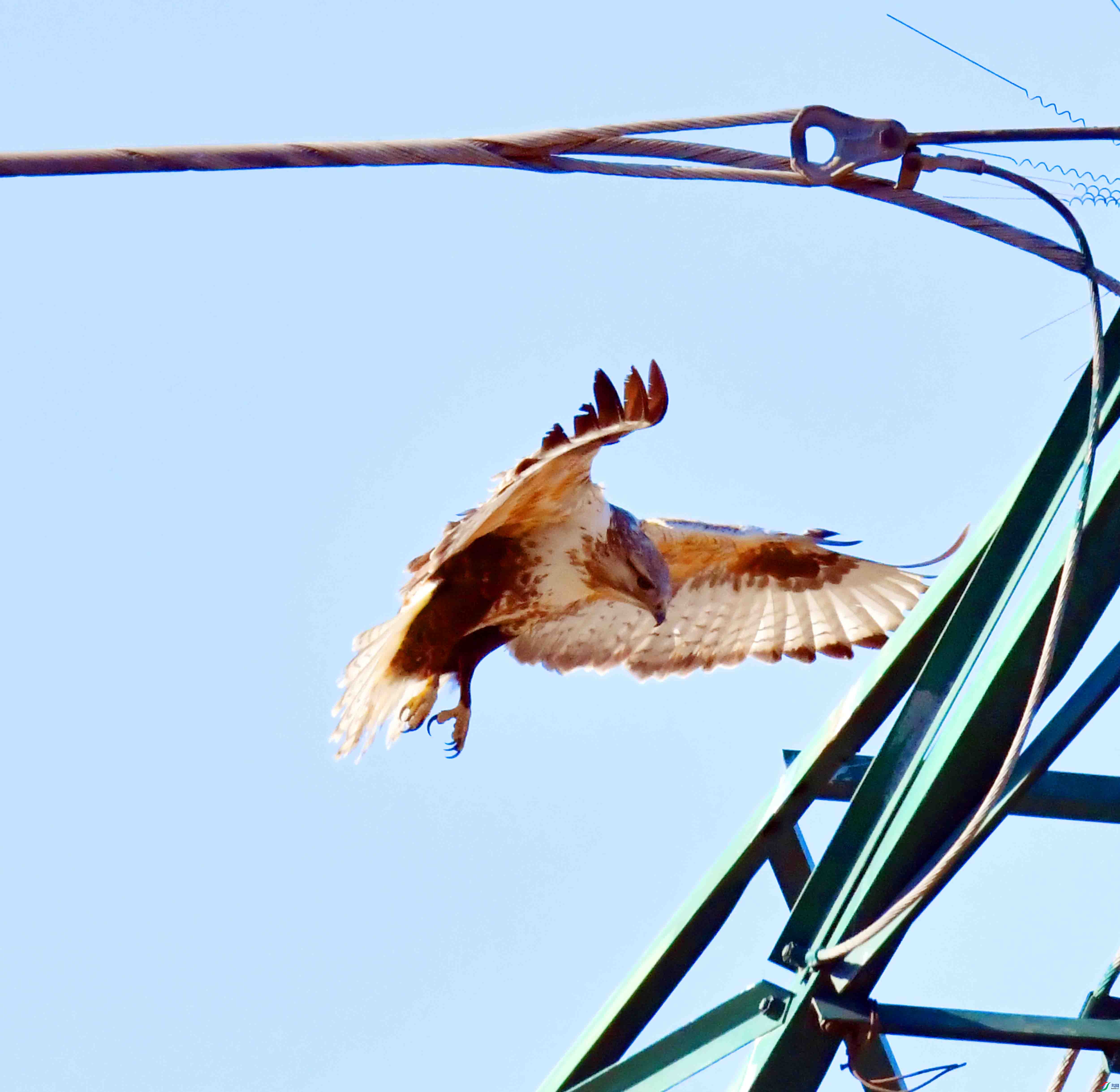 DSC_2049.JPG
