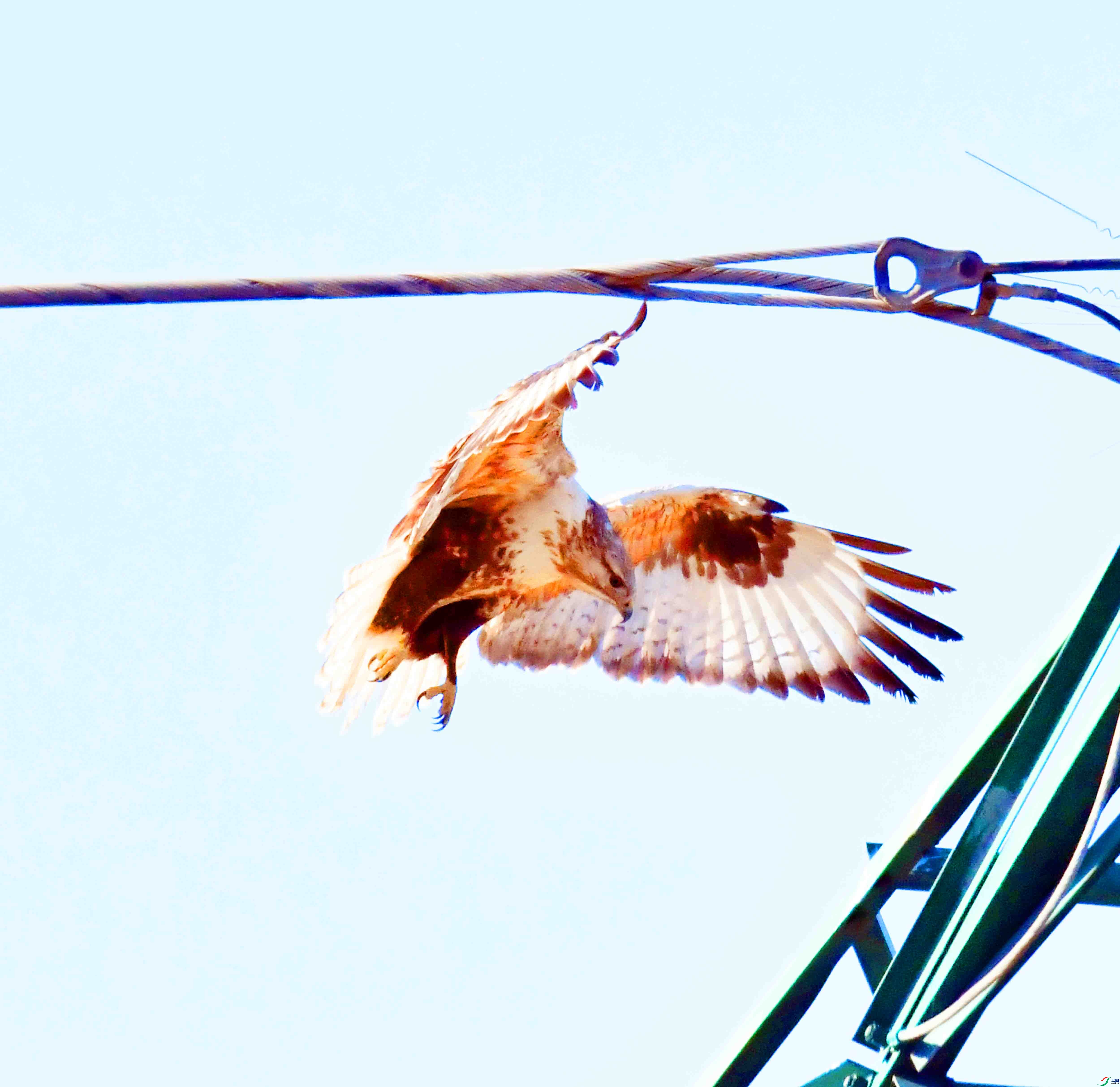 DSC_2047.JPG