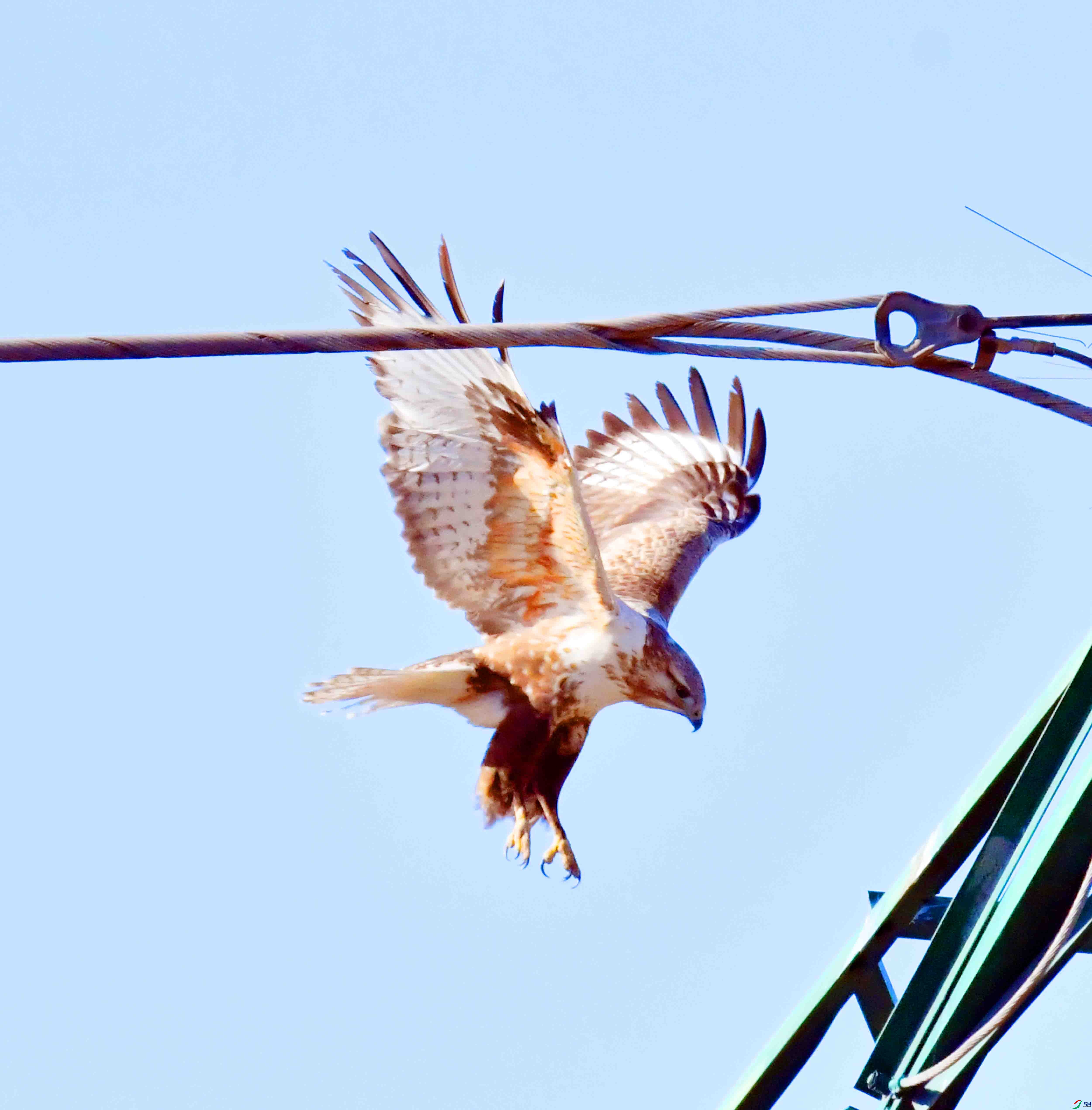 DSC_2048.JPG