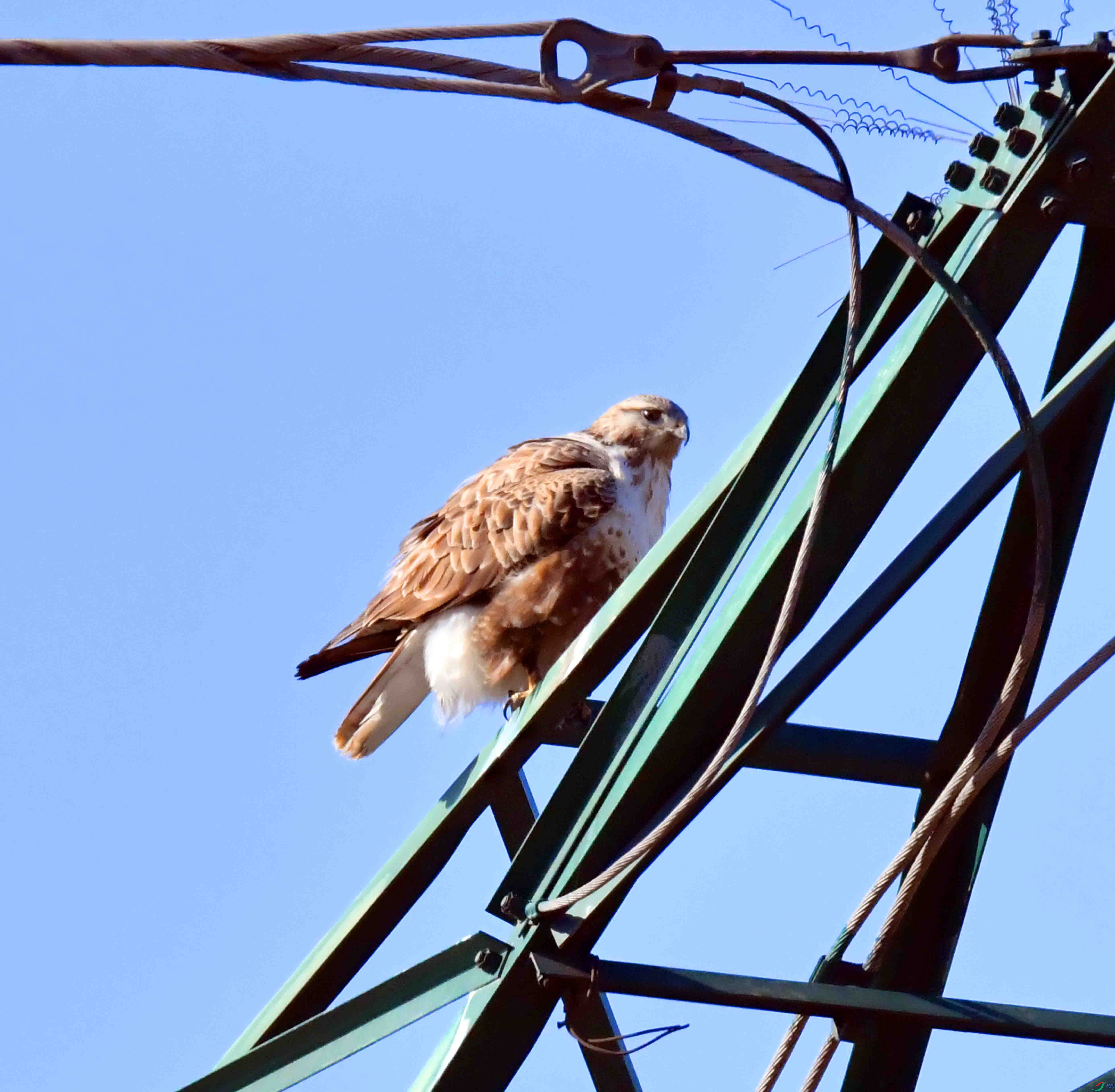 DSC_2055.JPG