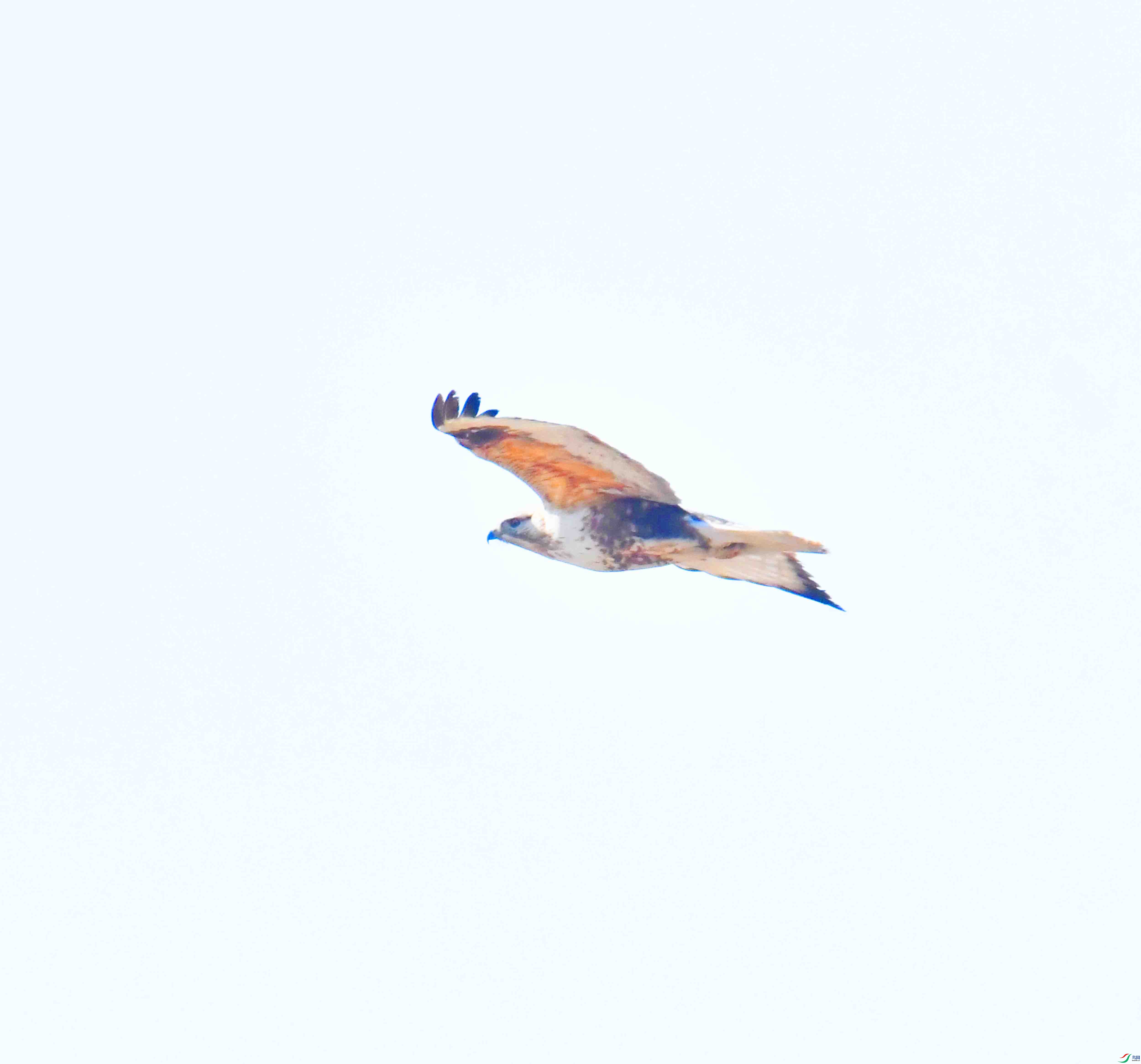 DSC_2061.JPG
