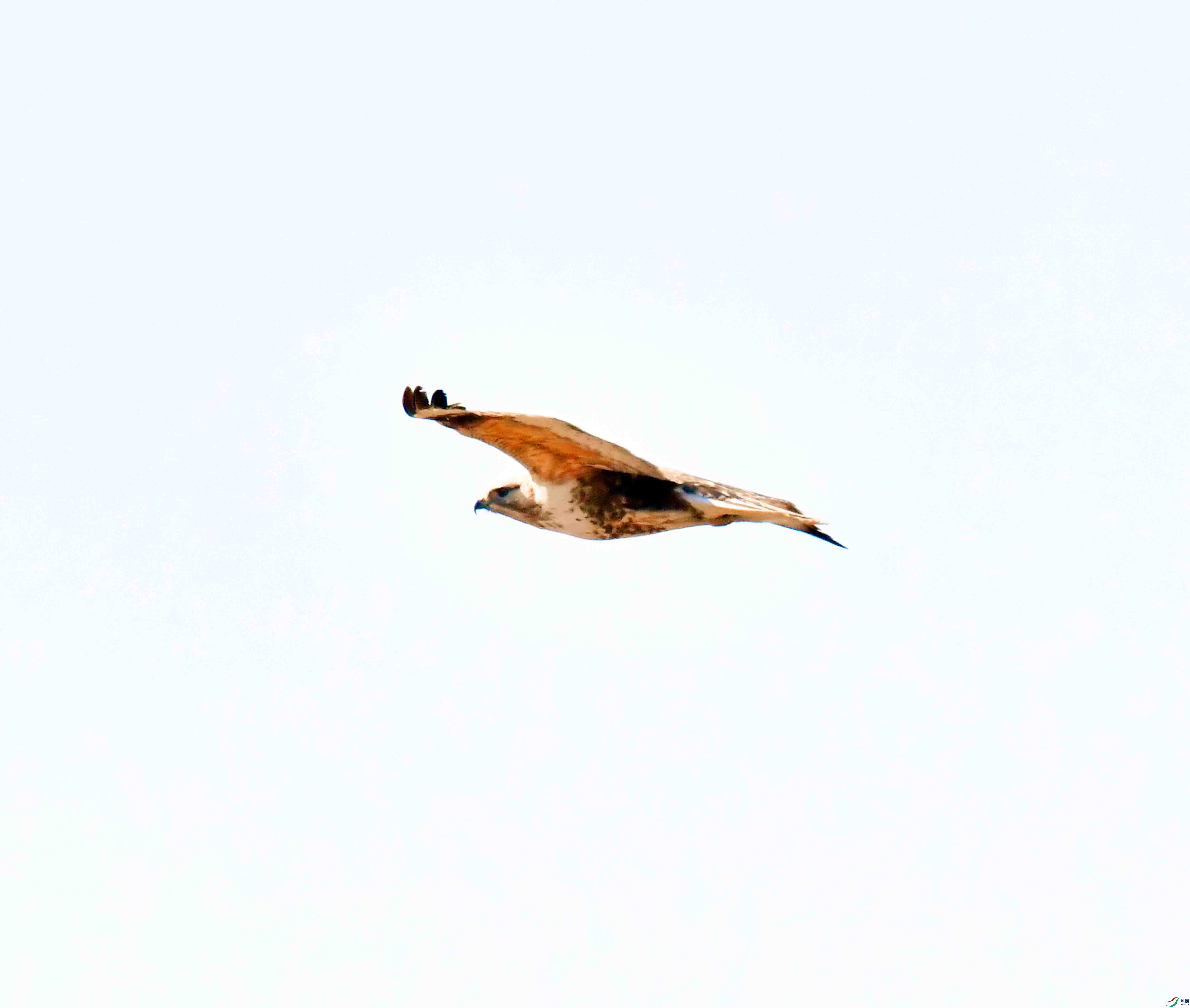 DSC_2063.JPG