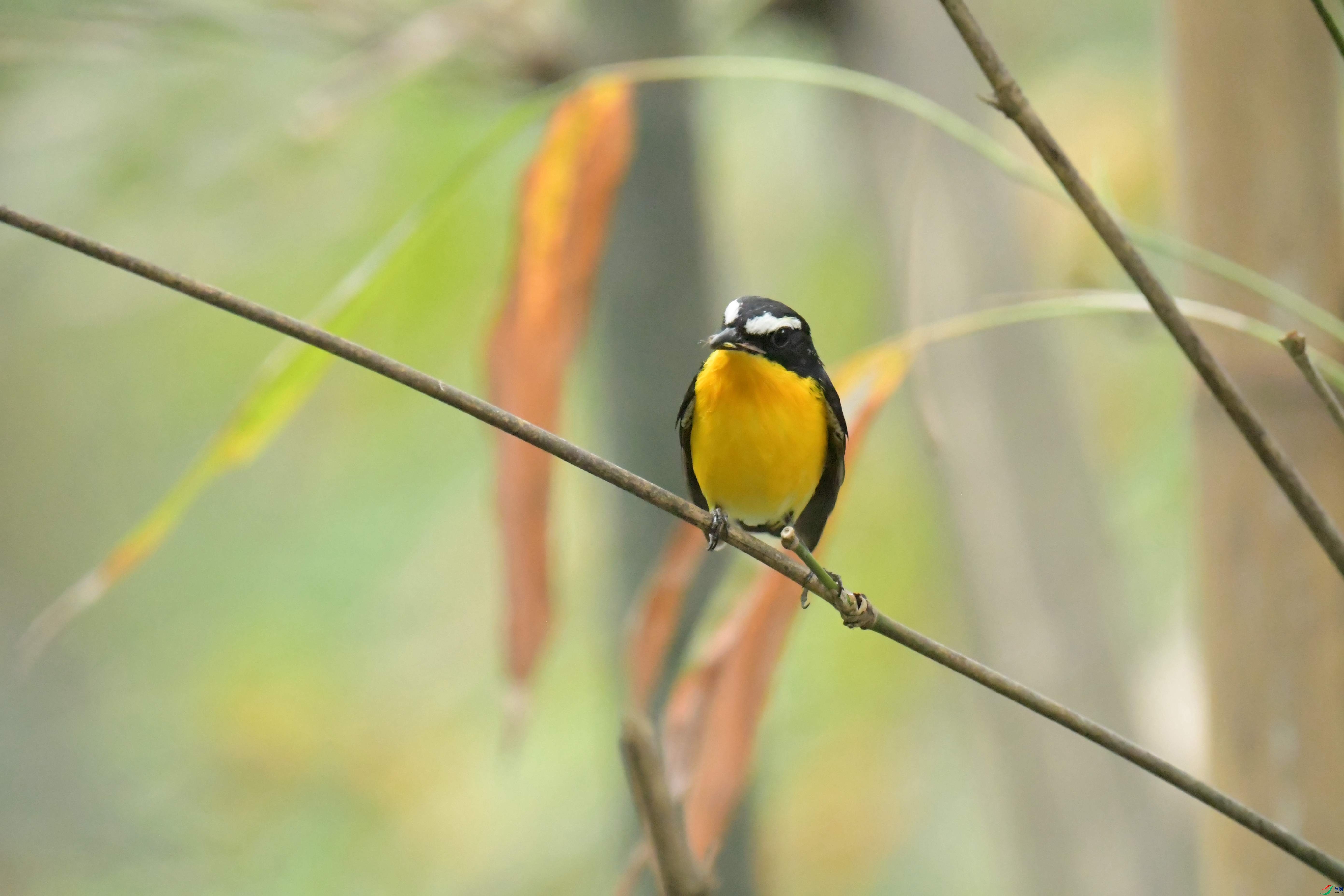 DSC_7189.JPG