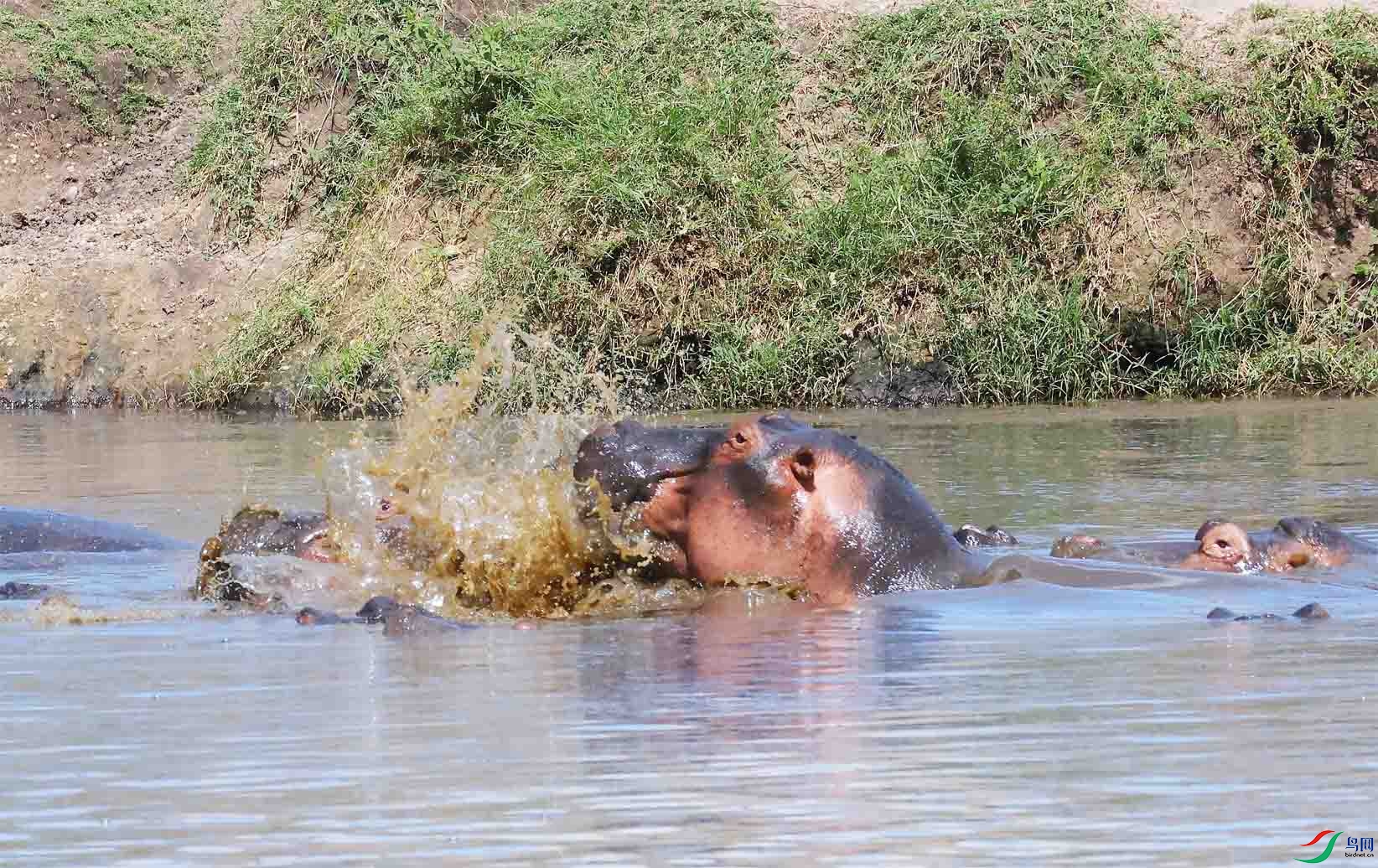 �����Ƣ�� ����.jpg