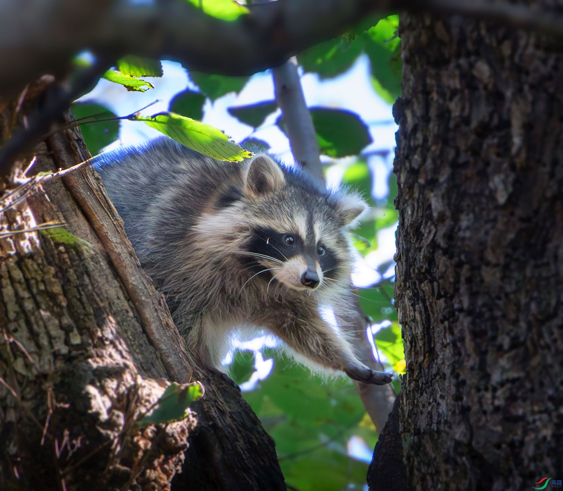 547A3442 ����.jpg