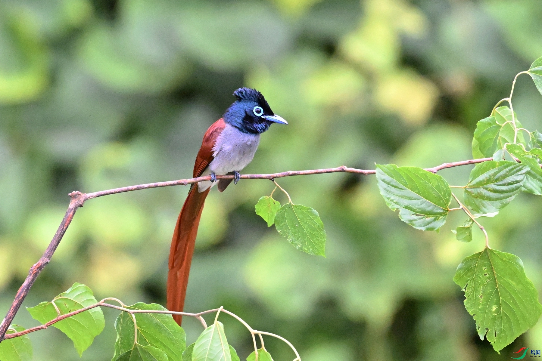 DSC_6781.JPG