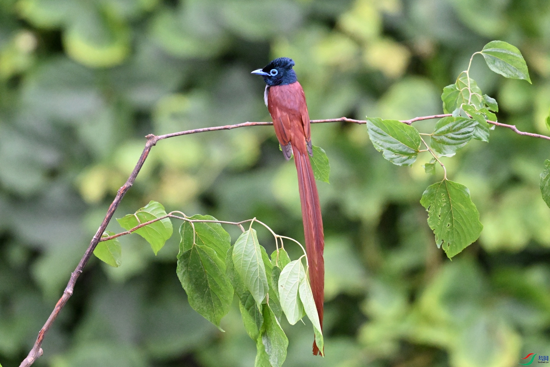 DSC_6798.JPG