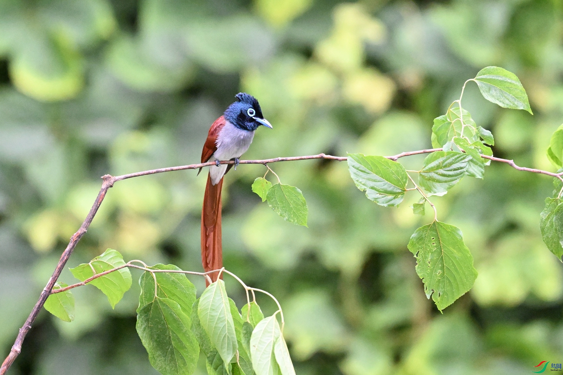 DSC_6786.JPG