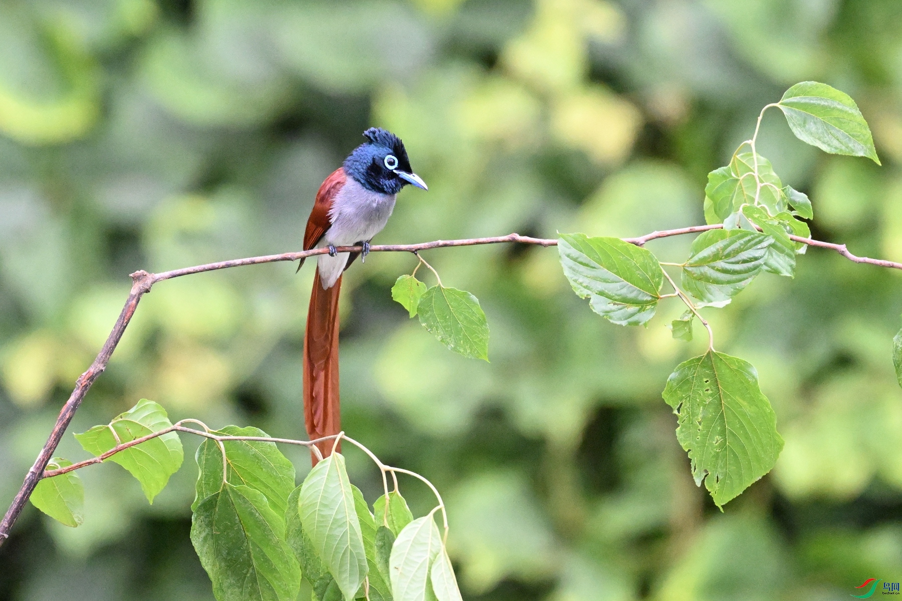 DSC_6788.JPG