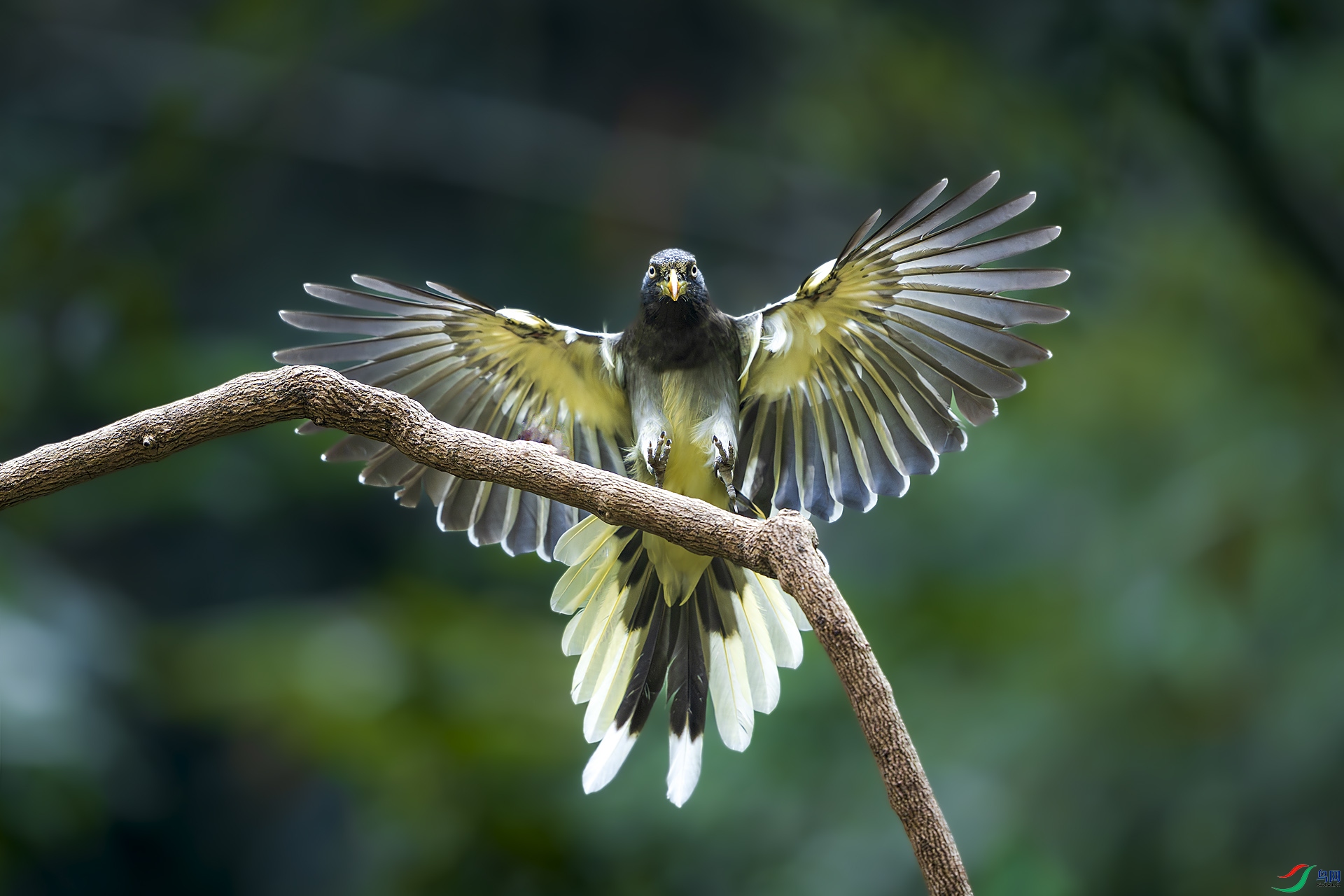 _DSC5682 ����.jpg