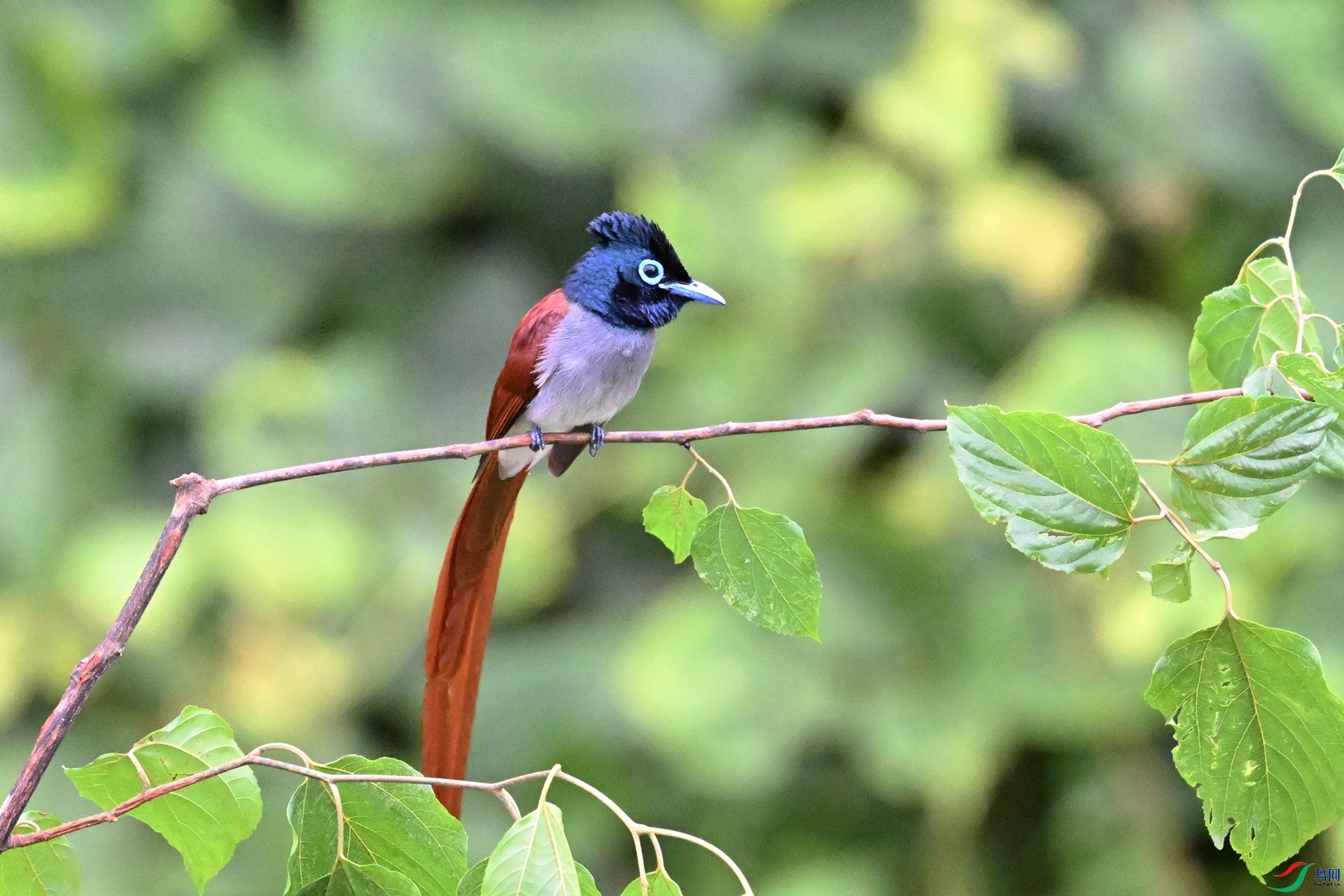 DSC_6782.JPG