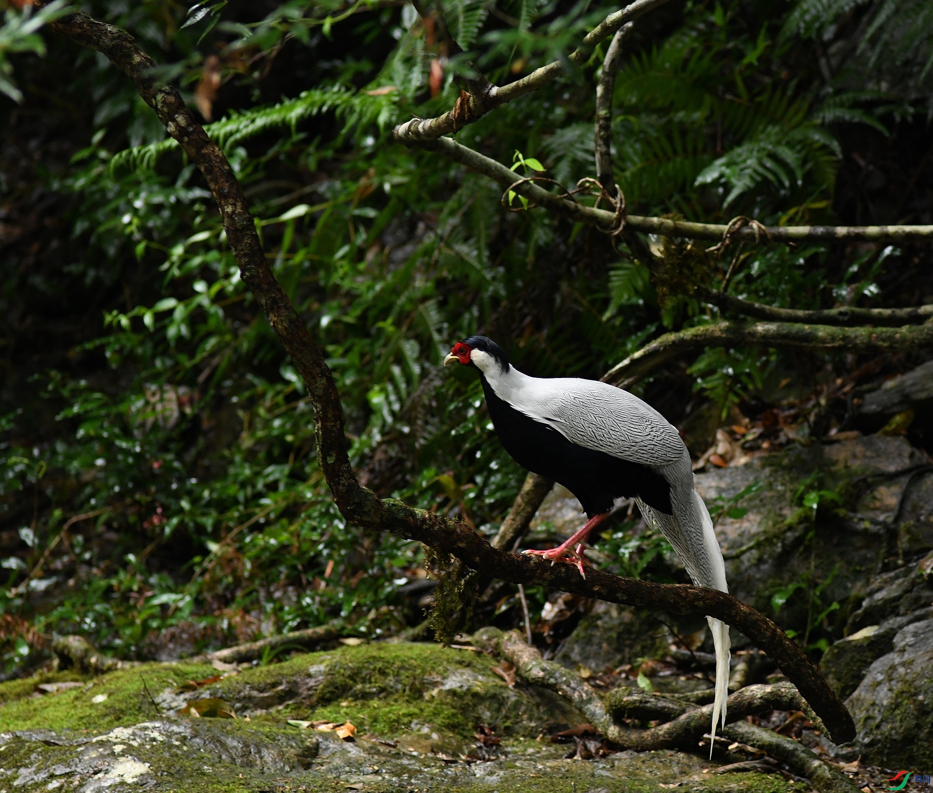 DSC_0226.jpg