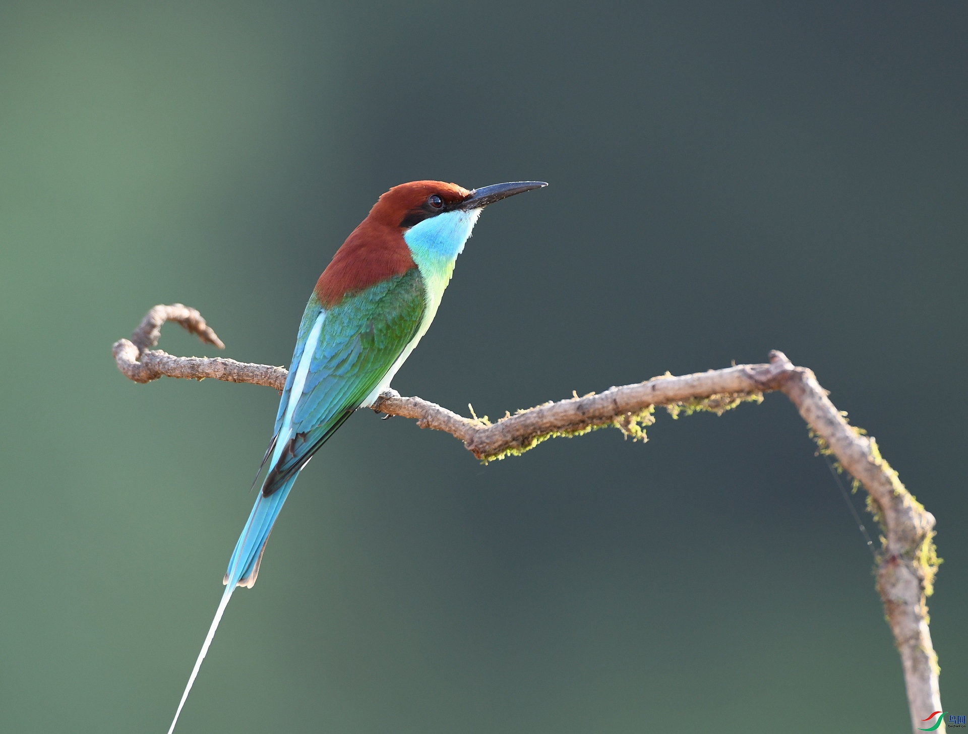 DSC_1150.jpg