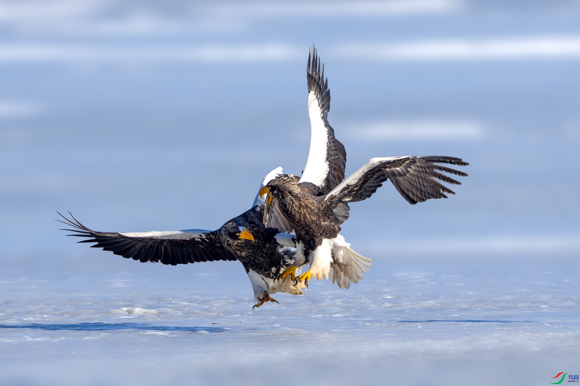 ���֮�� ��ԭ��.jpg