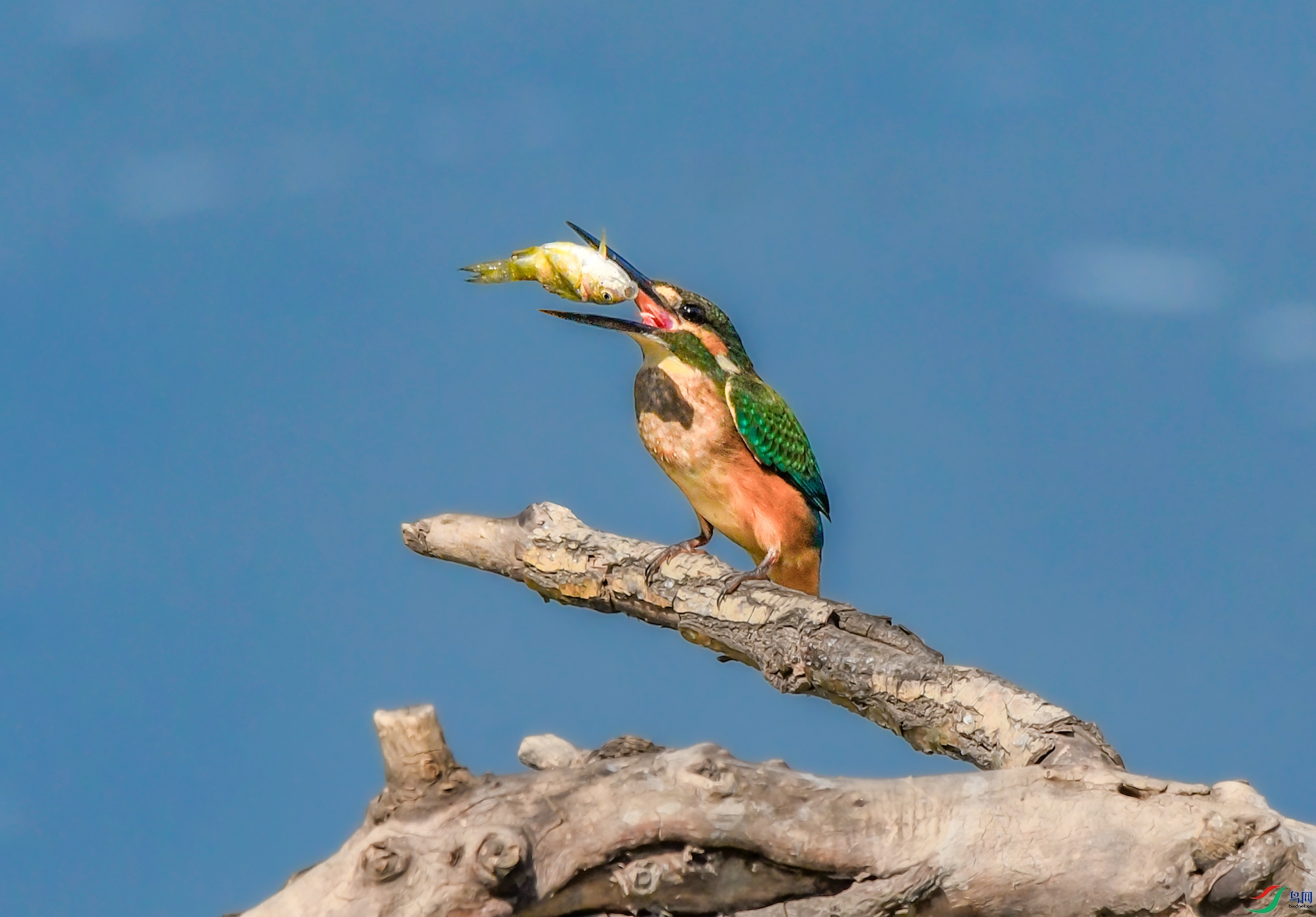 DSC_0478_��ͼ�� ����.jpg