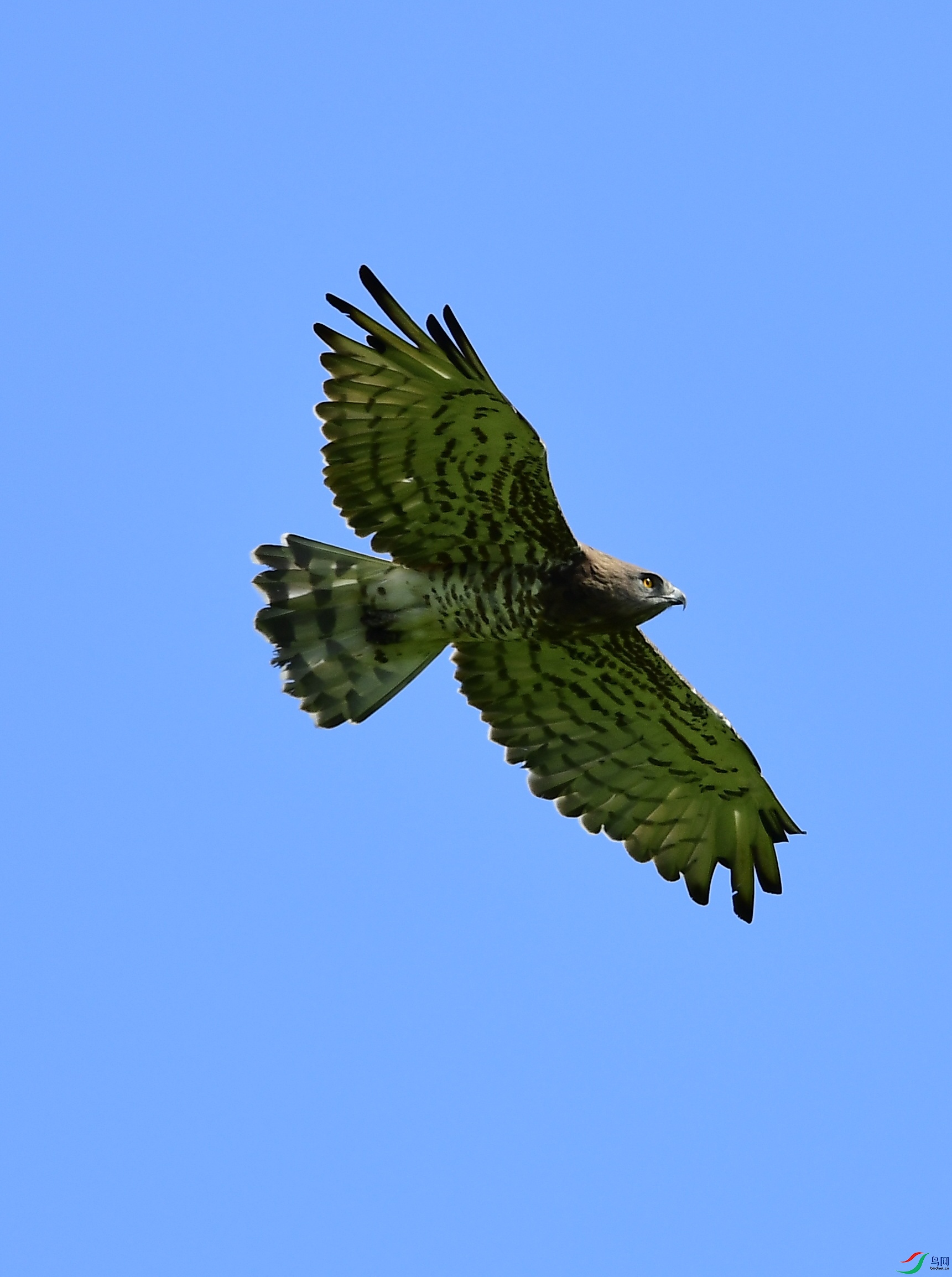 DSC_7571_��ͼ��.JPG