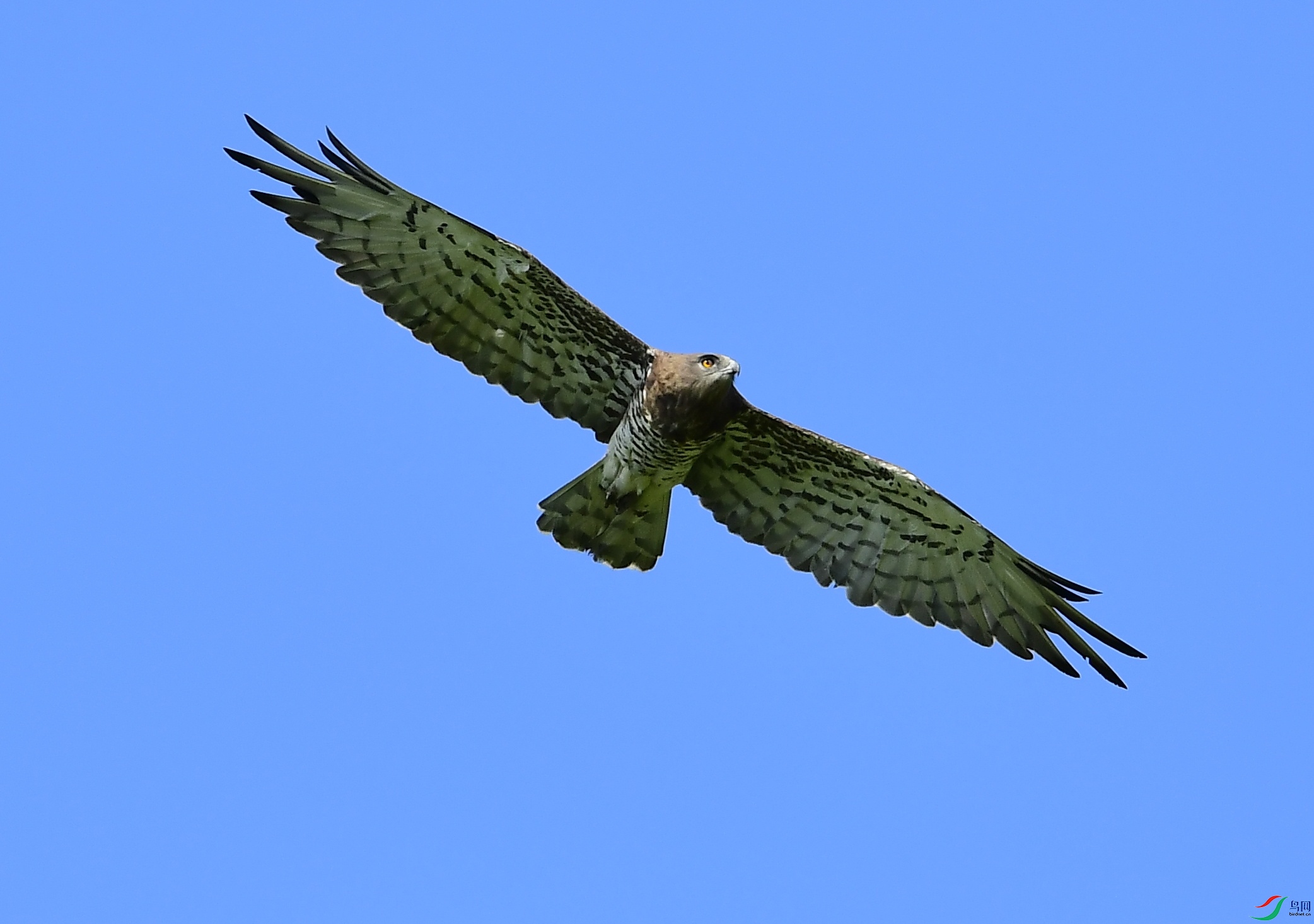 DSC_7373_��ͼ��.JPG