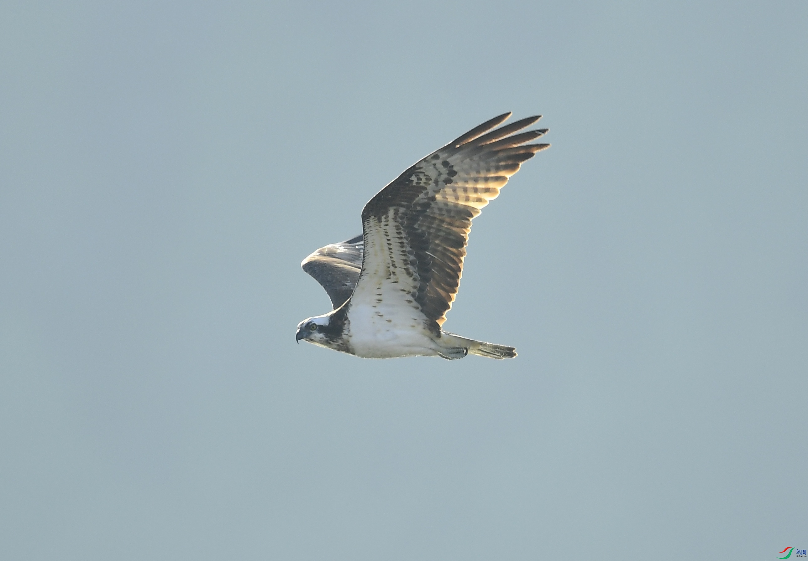 DSC_8642_��ͼ��.JPG