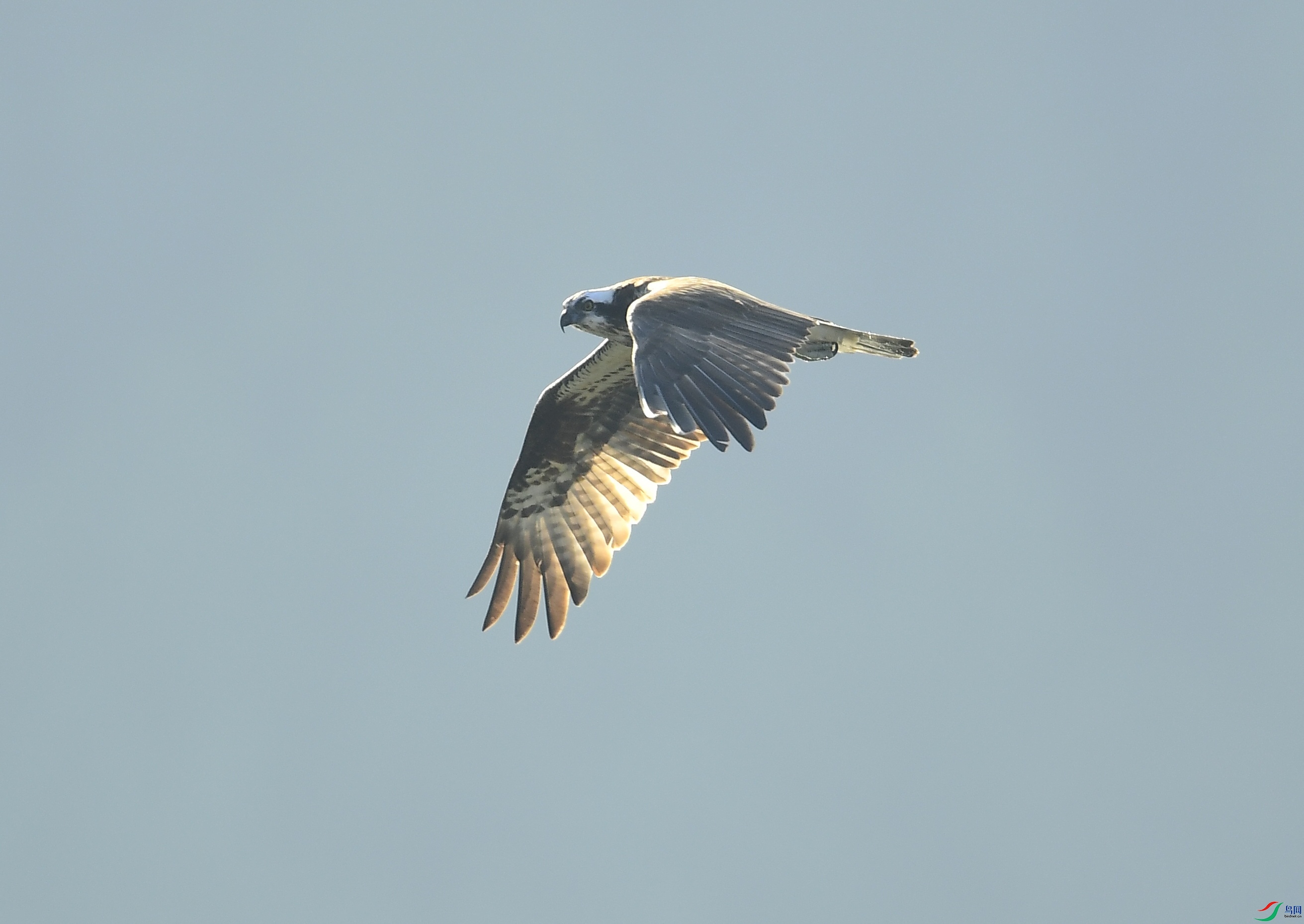 DSC_8644_��ͼ��.JPG