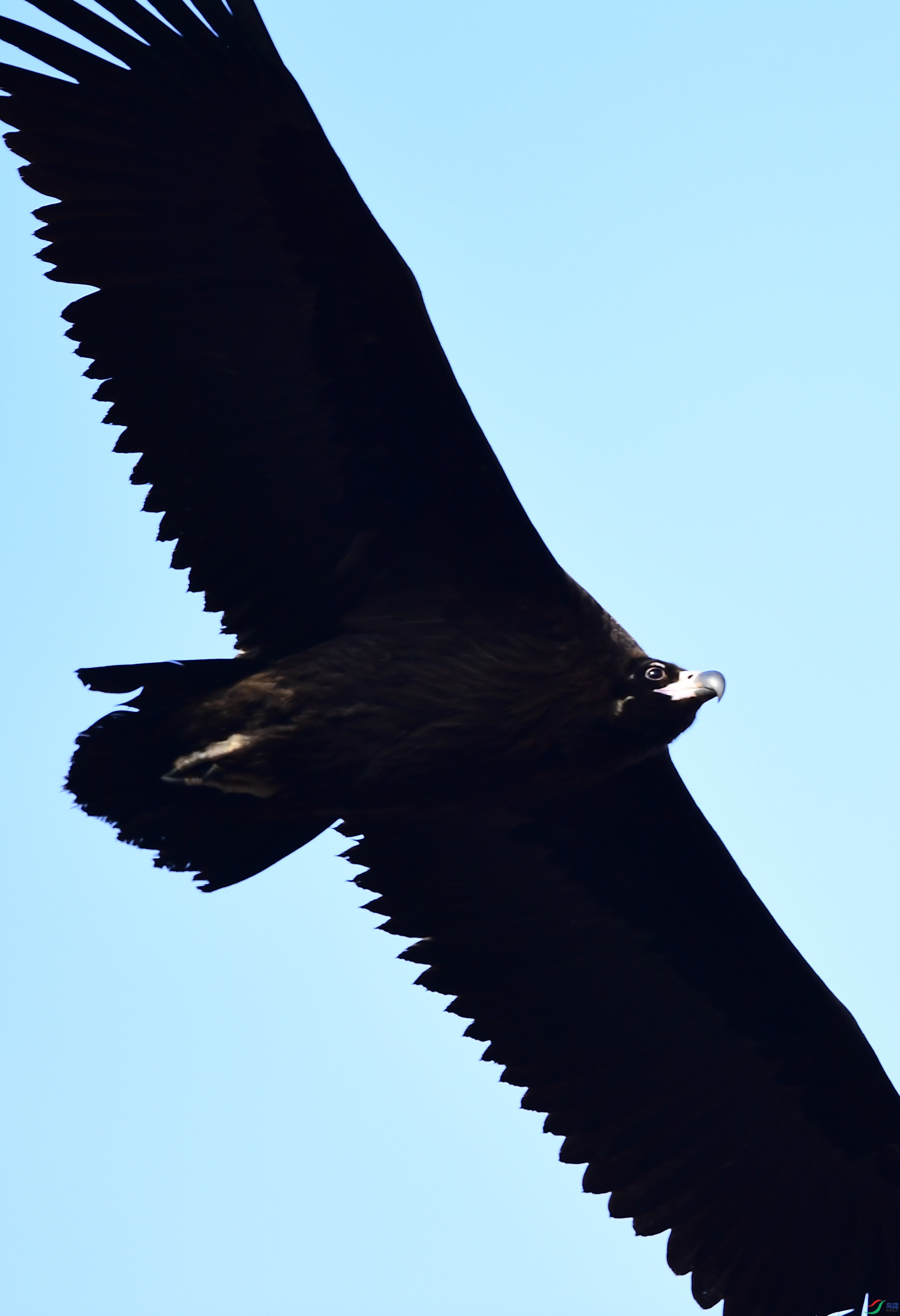 DSC_3009_��ͼ��.JPG