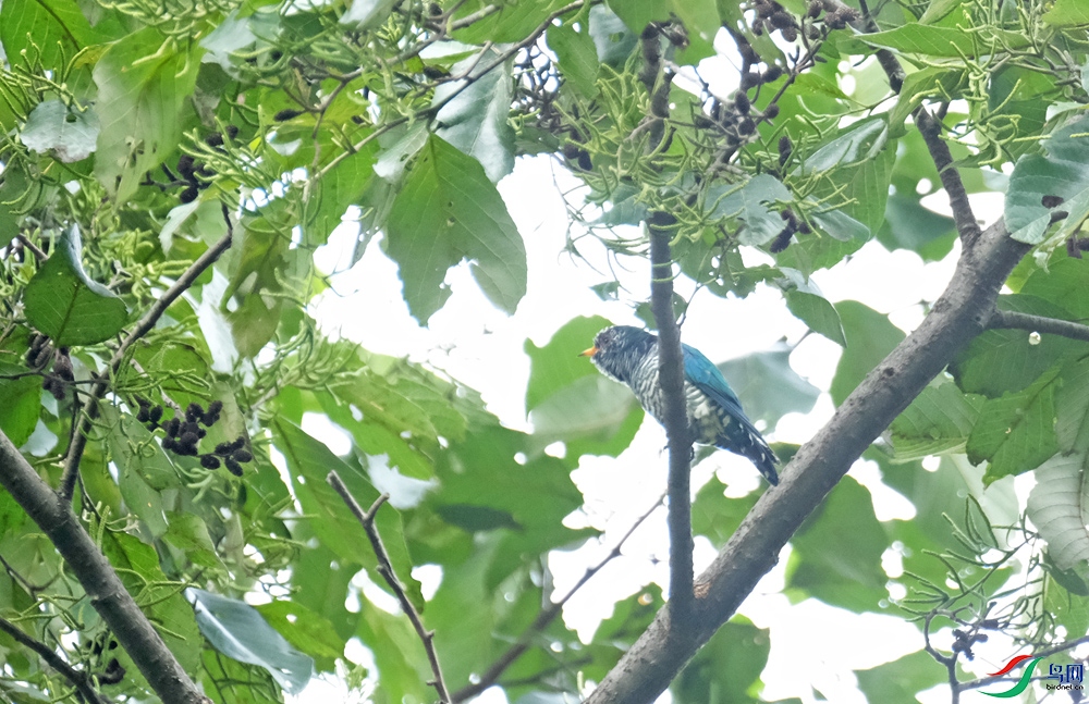 DSCF8057.1.jpg