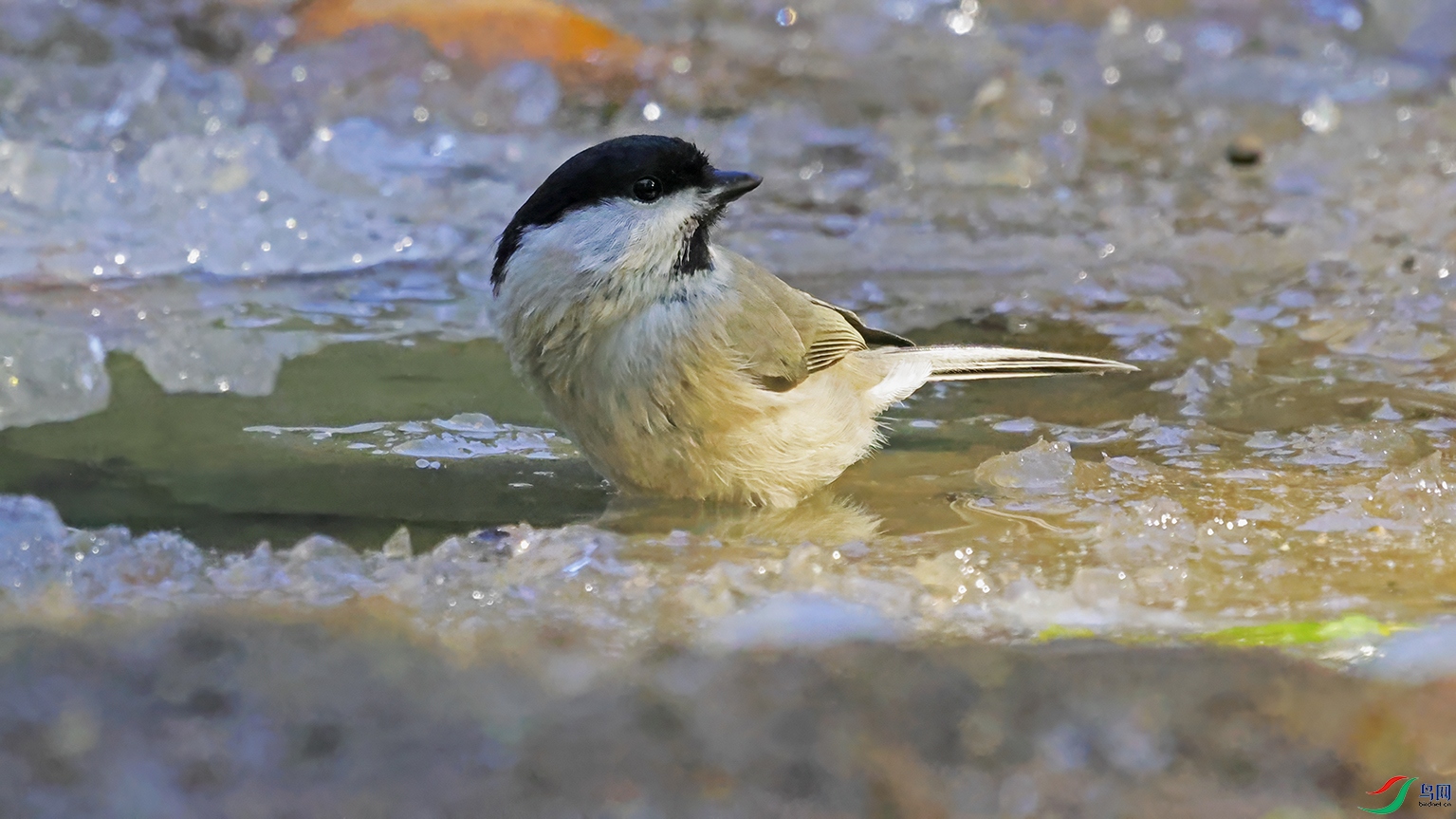 3U2A9747 ���� 2.jpg