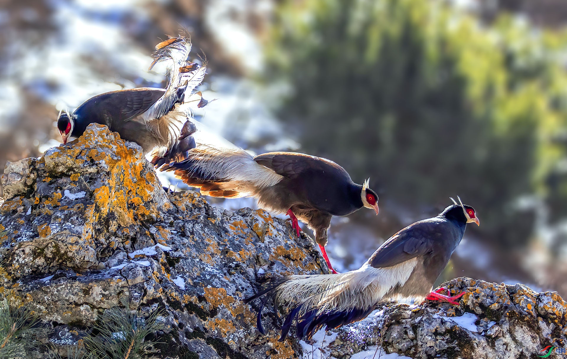 _07A2083 ����-Sh---1 -.jpg