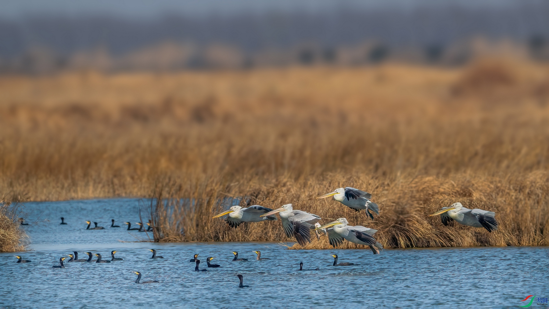 DSC_3386 ���� 201.jpg