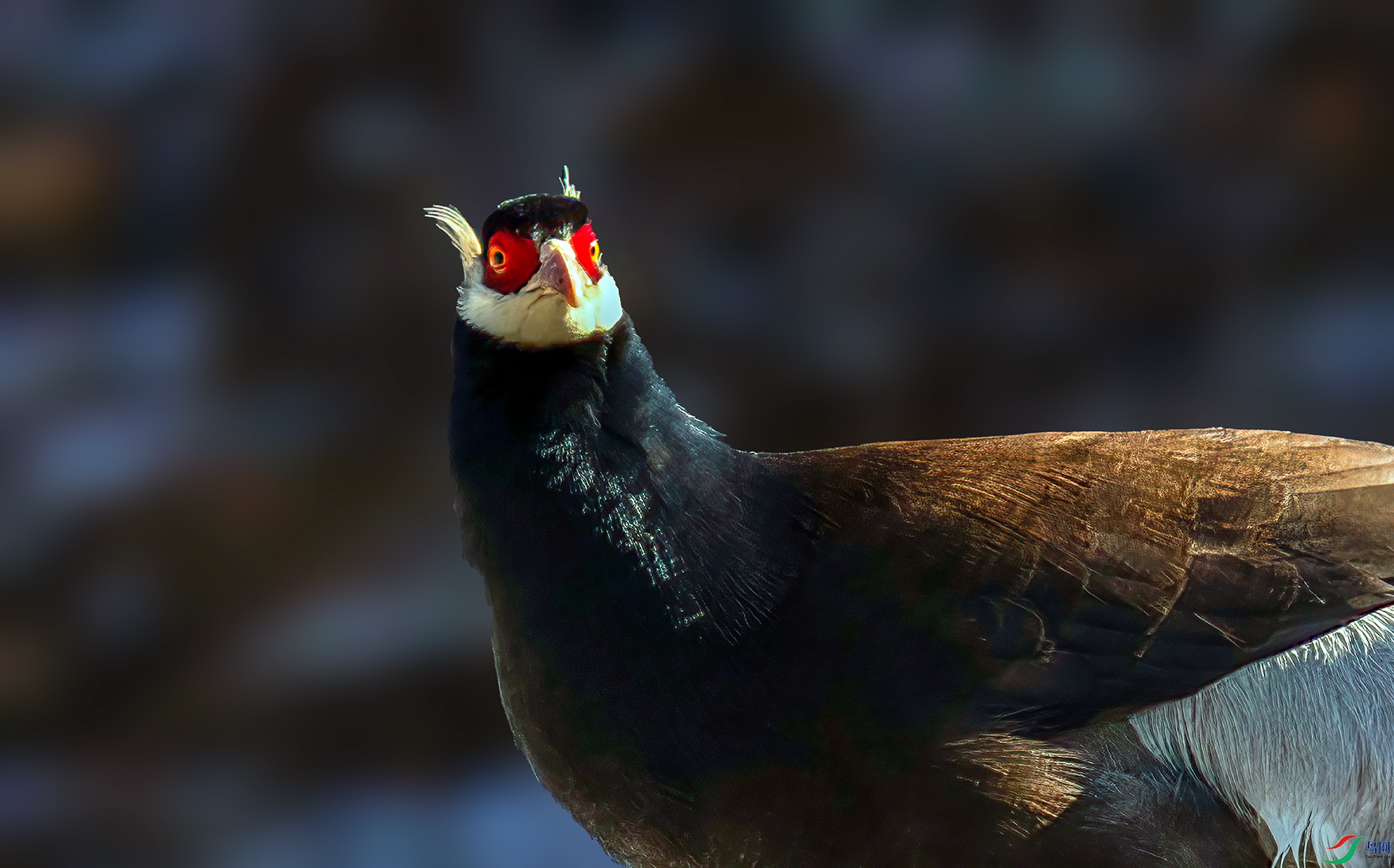 _07A0355 ����-Sh-----1 .jpg