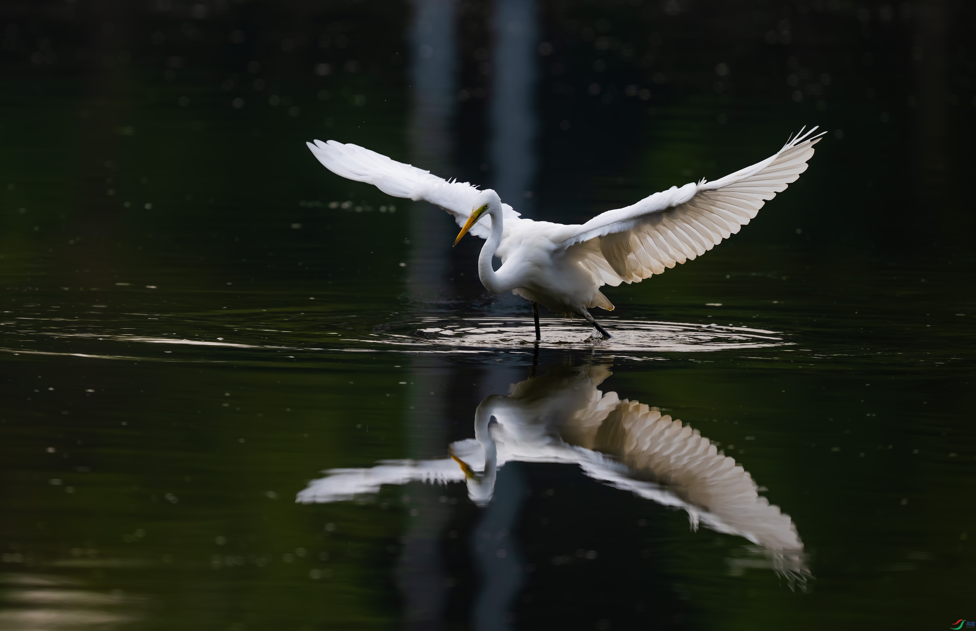 DSC_2061-2.jpg