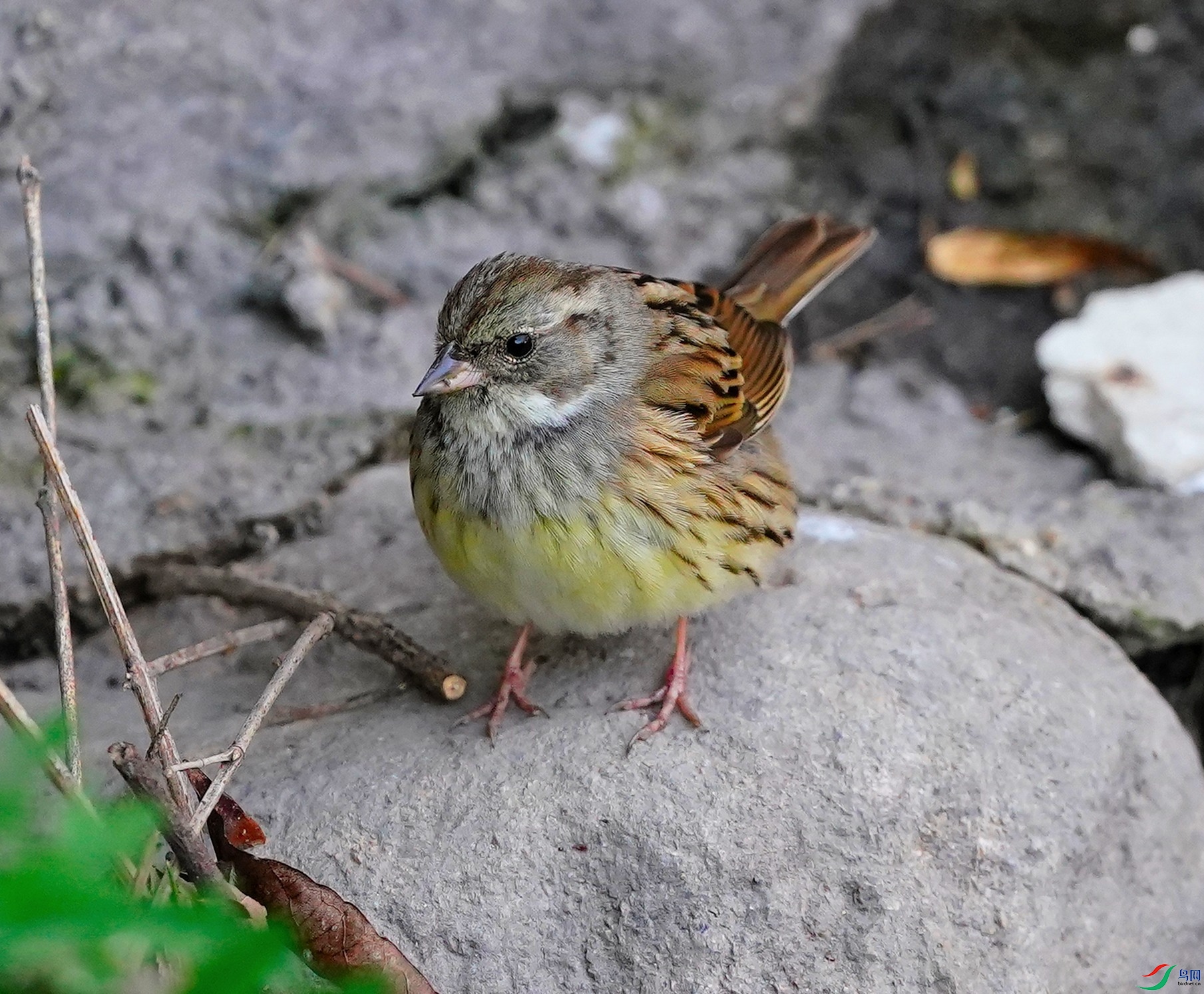 DSC04773.JPG