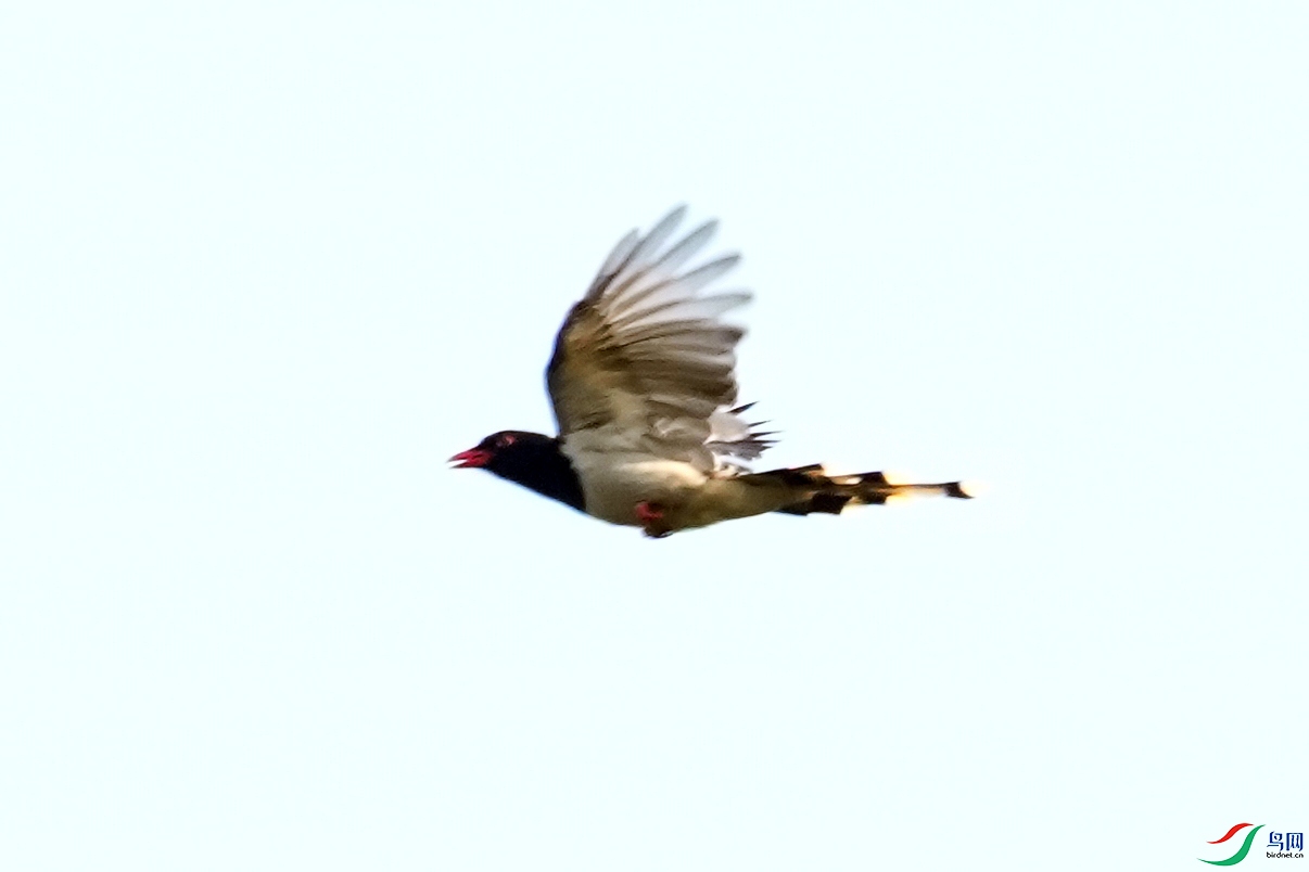 024DSC04489 ����.jpg