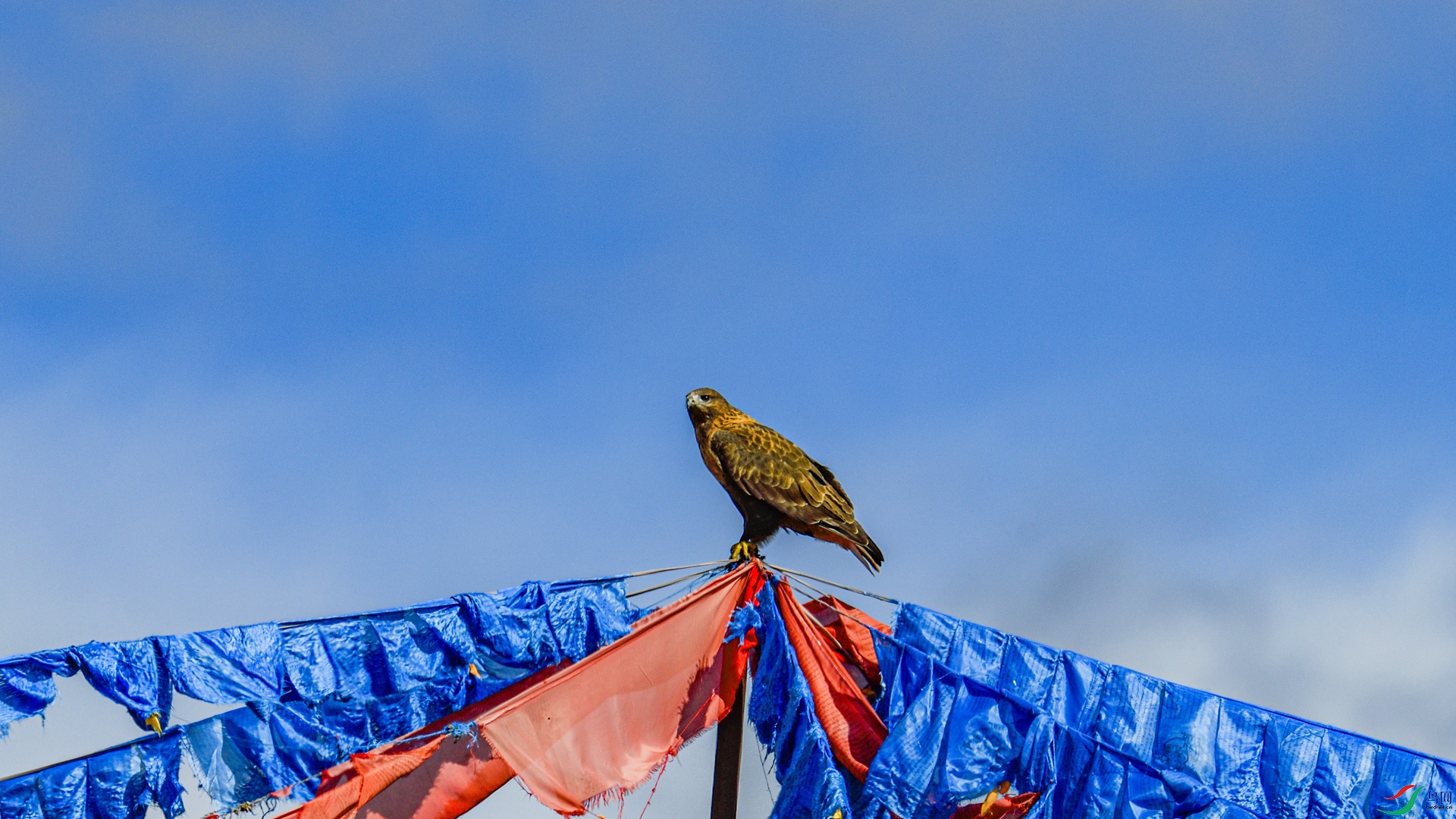 _DSC2606 ����_����.jpg