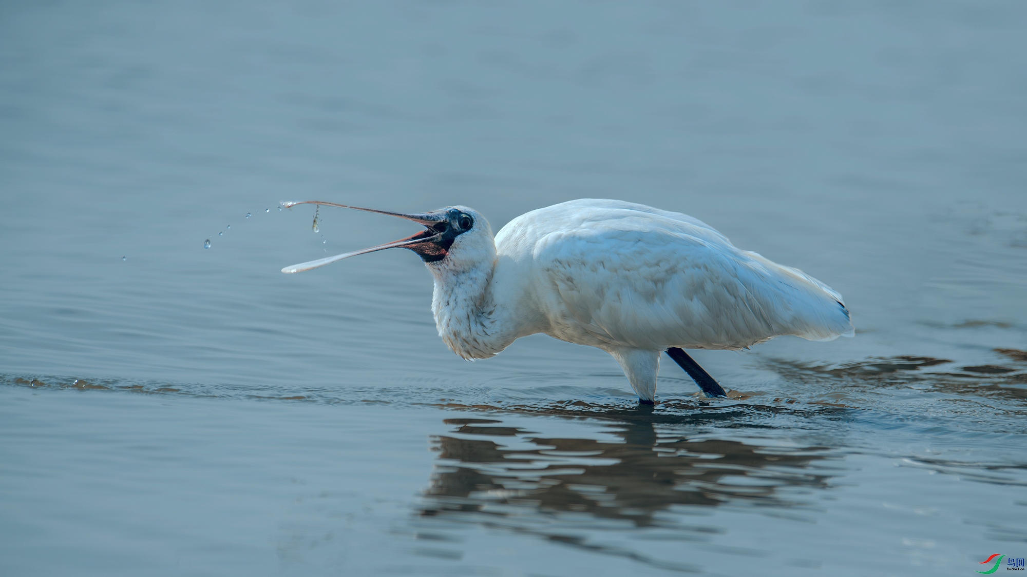D08_1086-1.jpg