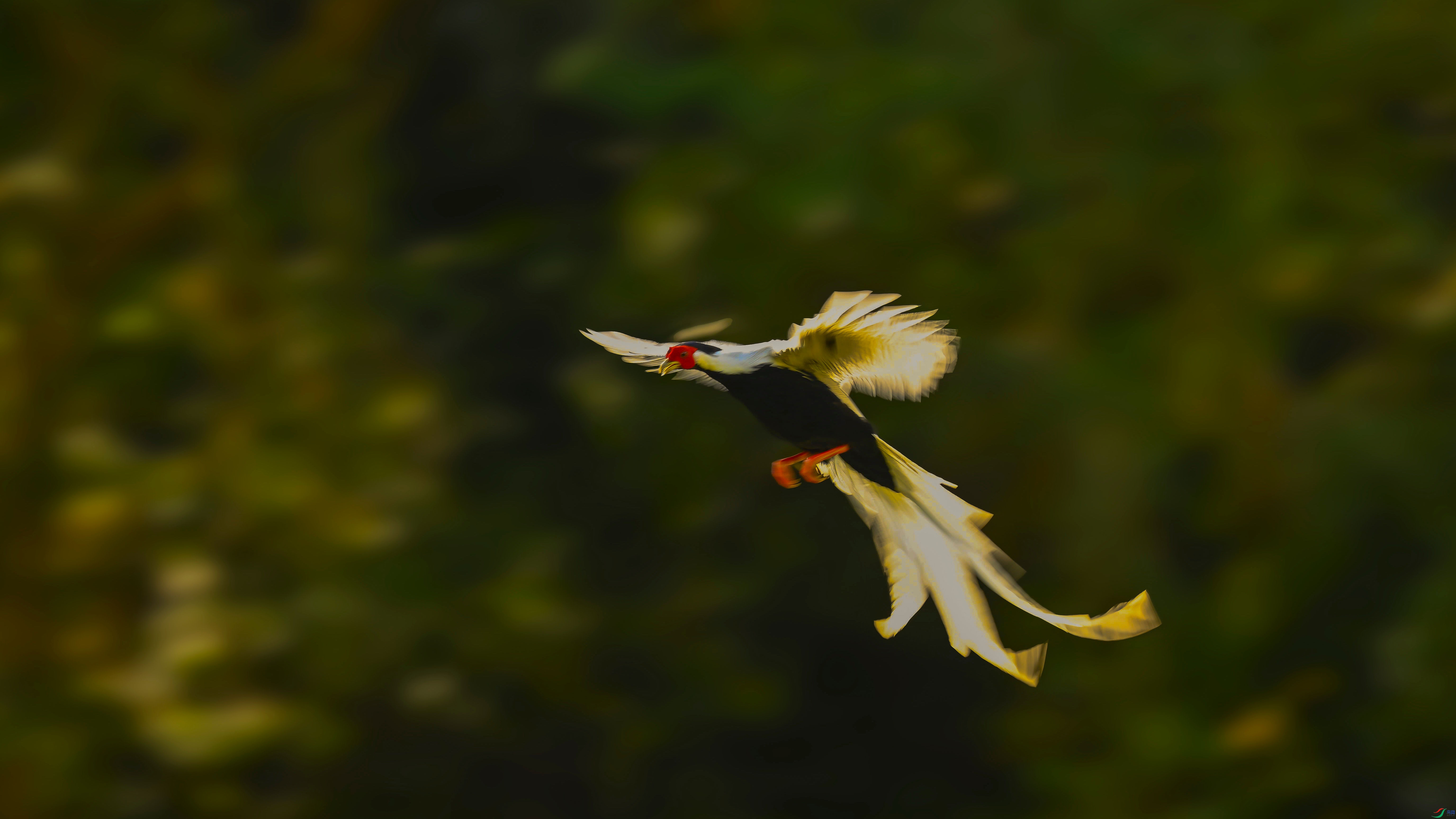 DSC_0155_����_����.jpg