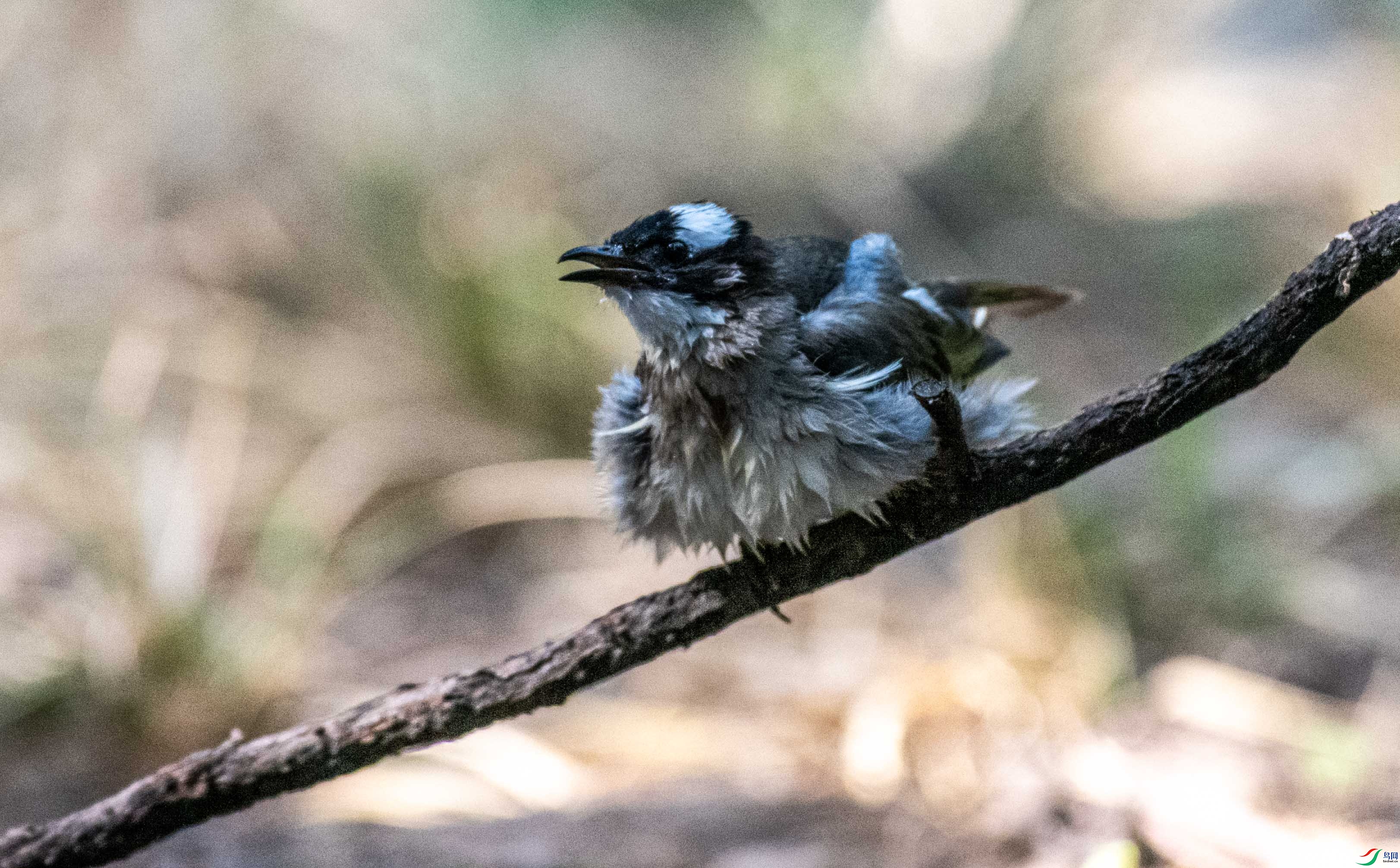 DSC_3151.jpg