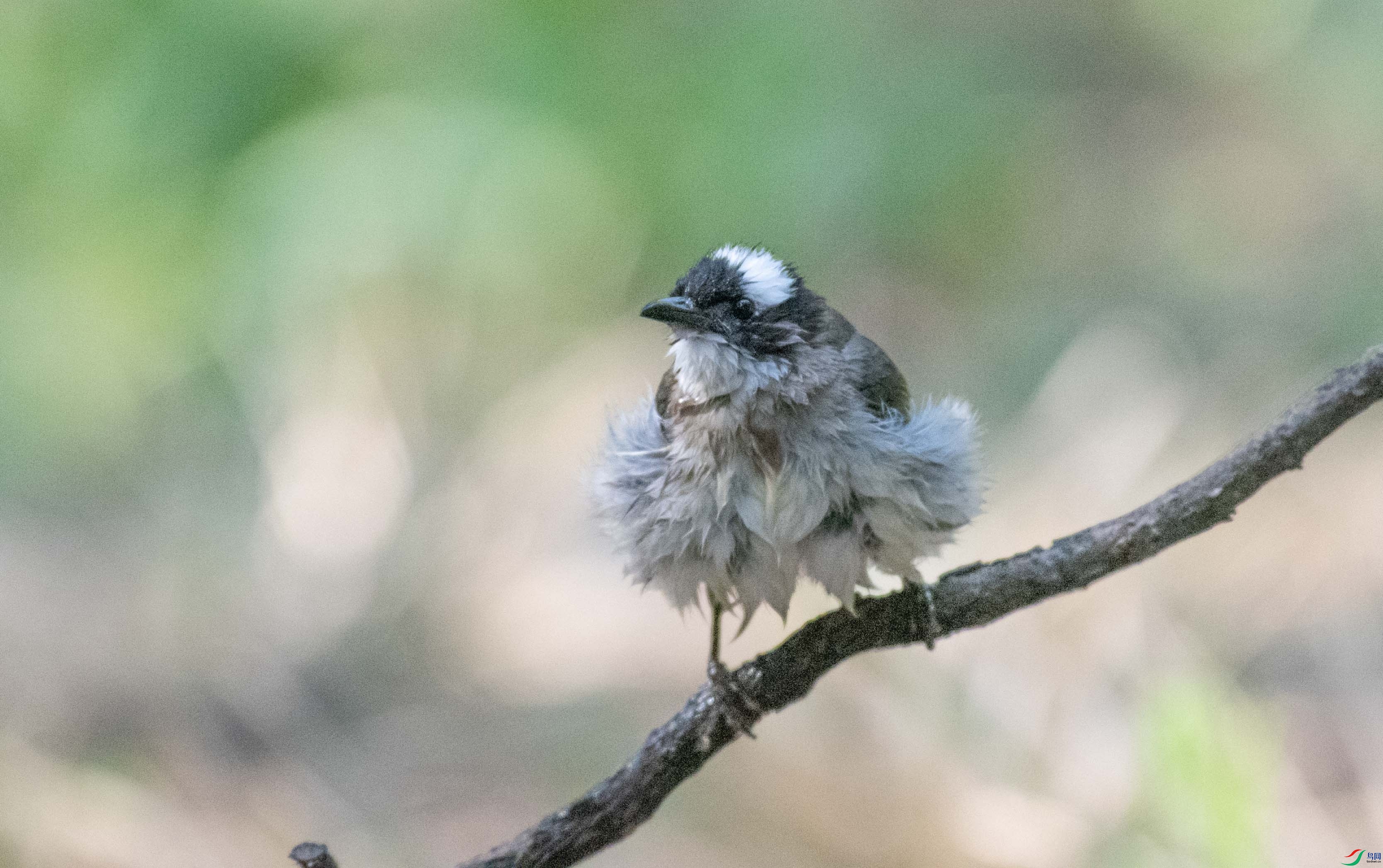 DSC_3167.jpg