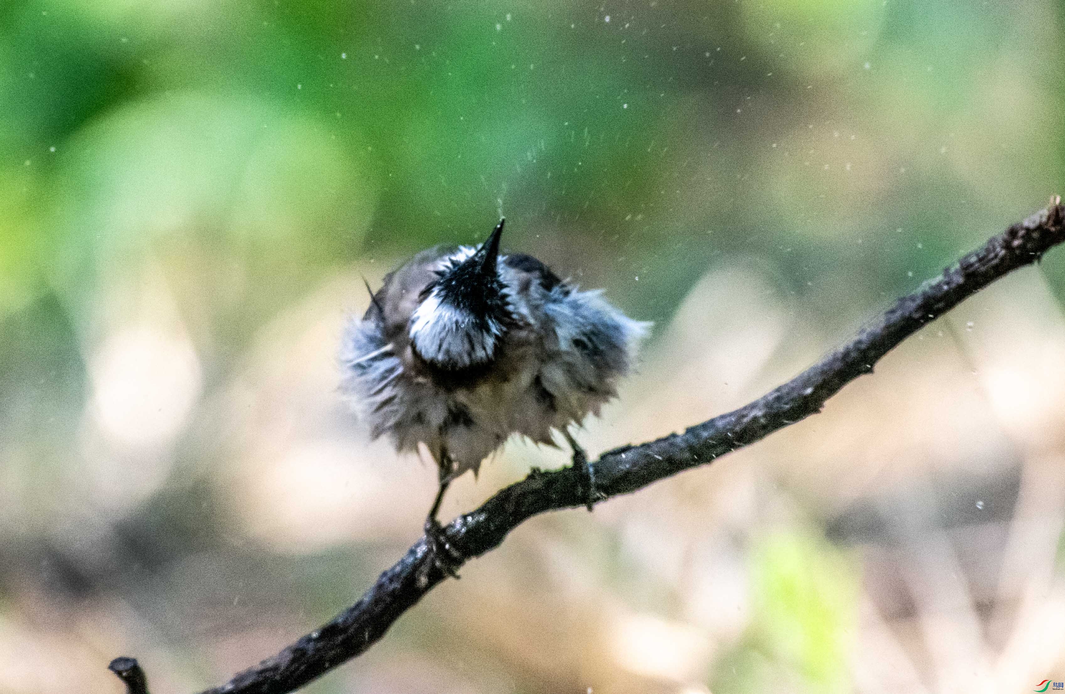 DSC_3168.jpg