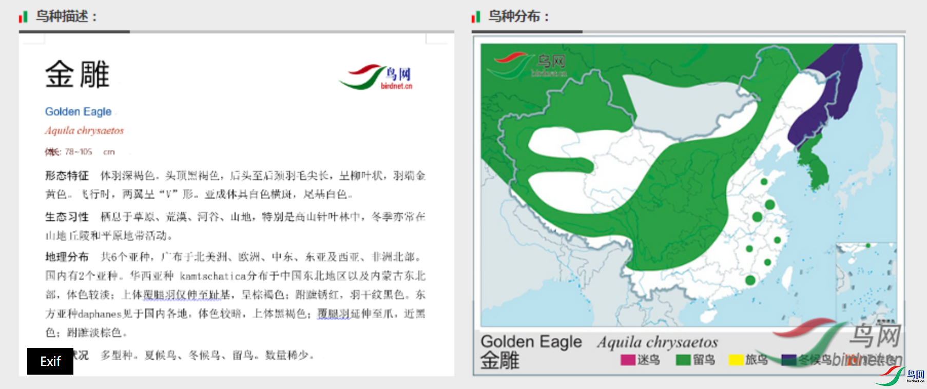 1c773ad659f81b02e7cbbe72fd63968b.png