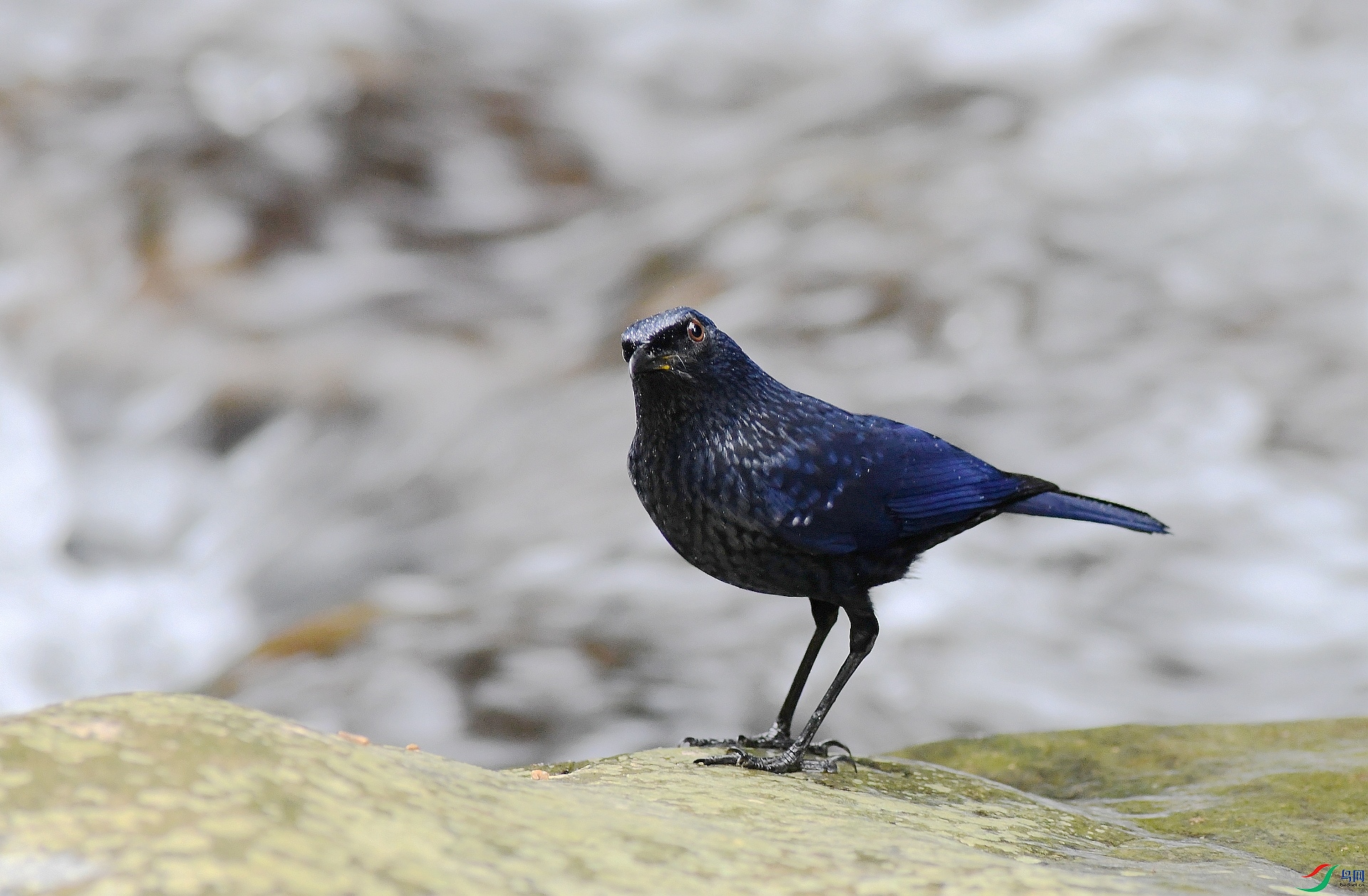 DSC_1427.jpg