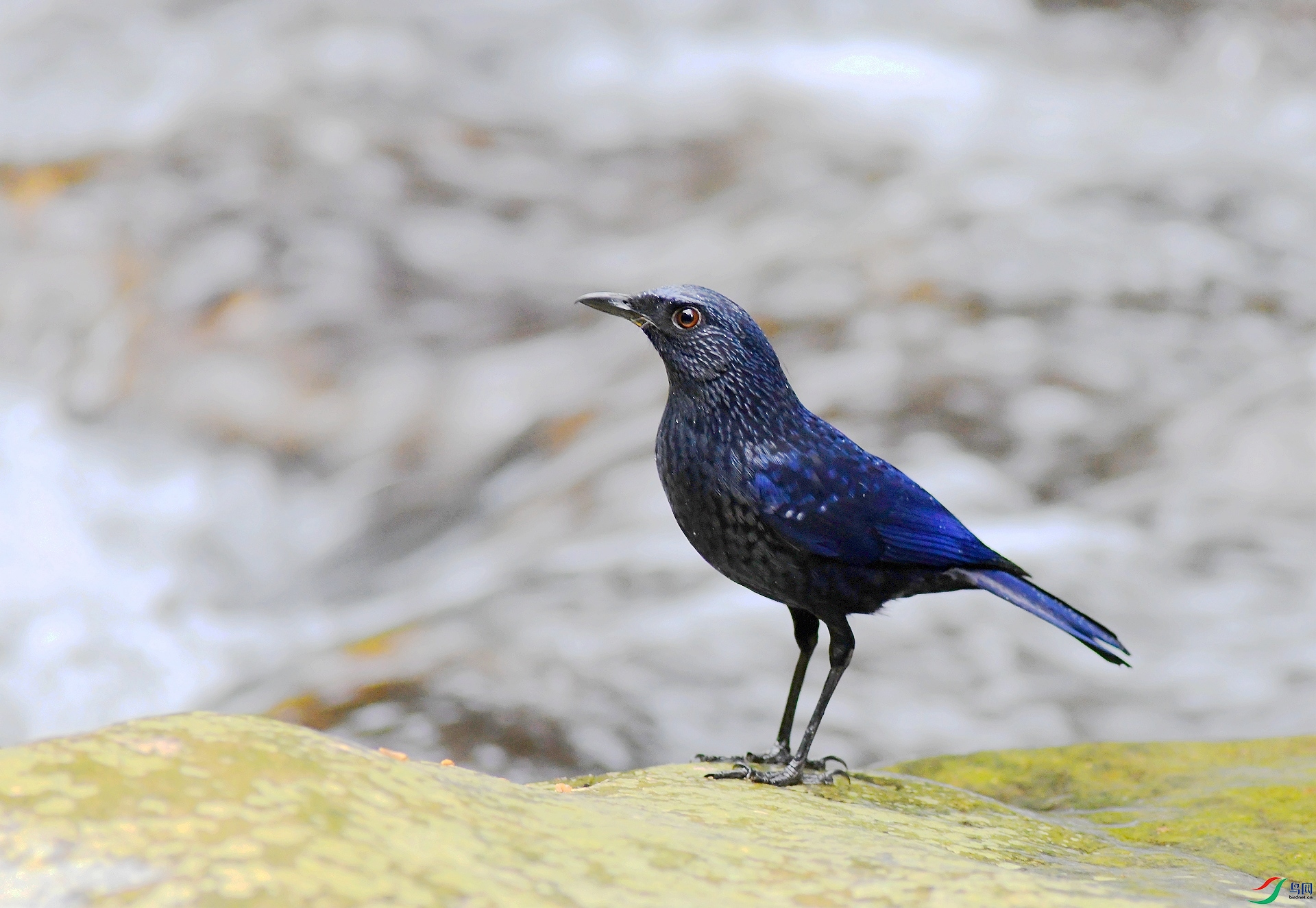 DSC_1431.jpg