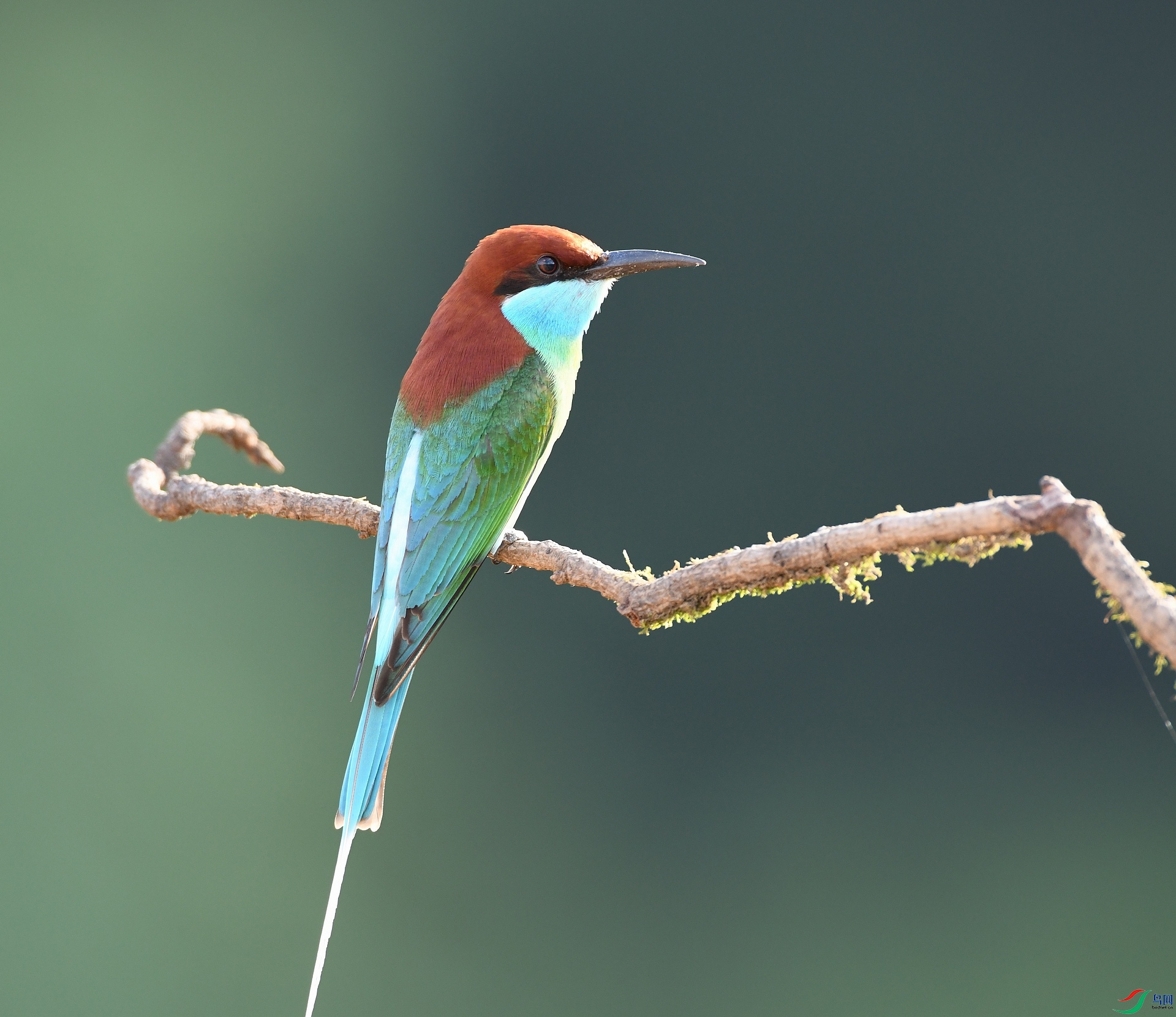 DSC_1151.jpg