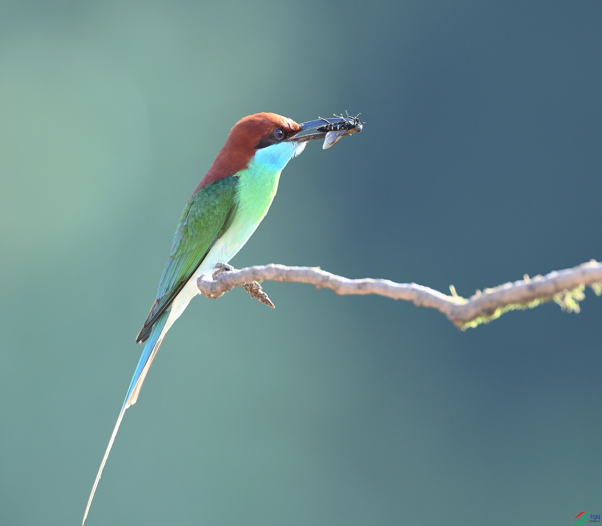 DSC_1165.jpg