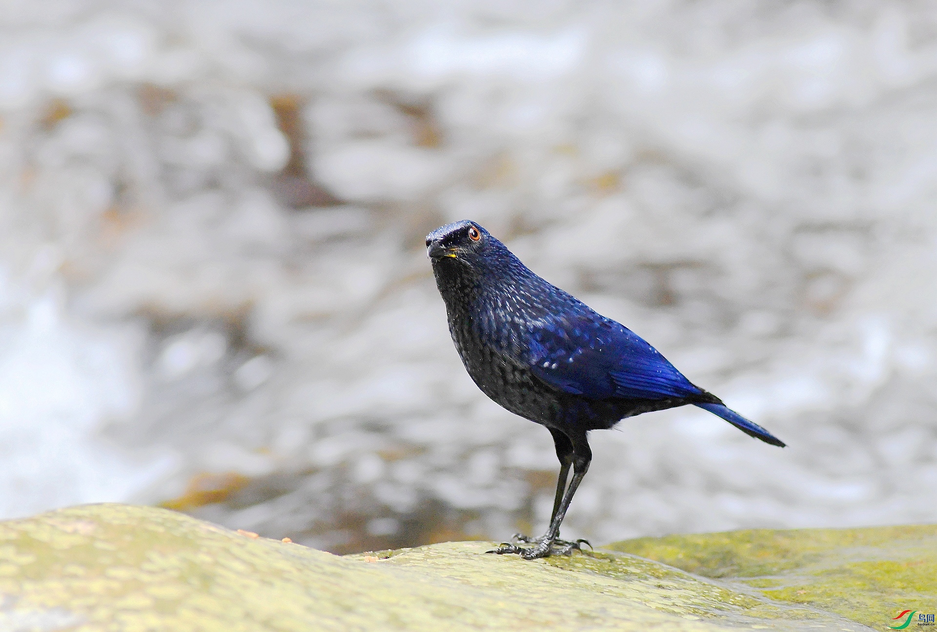 DSC_1439.jpg