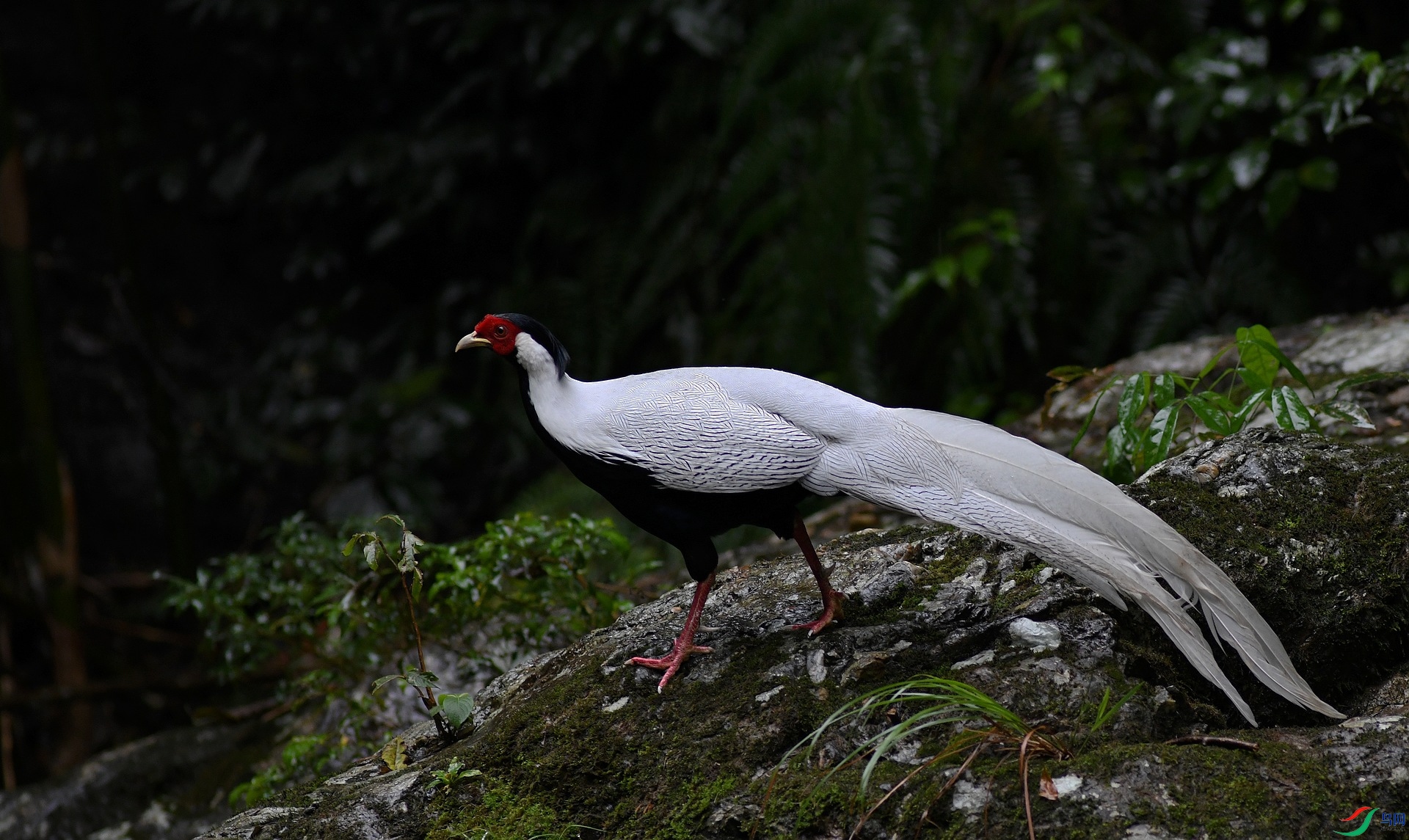 DSC_0383.jpg