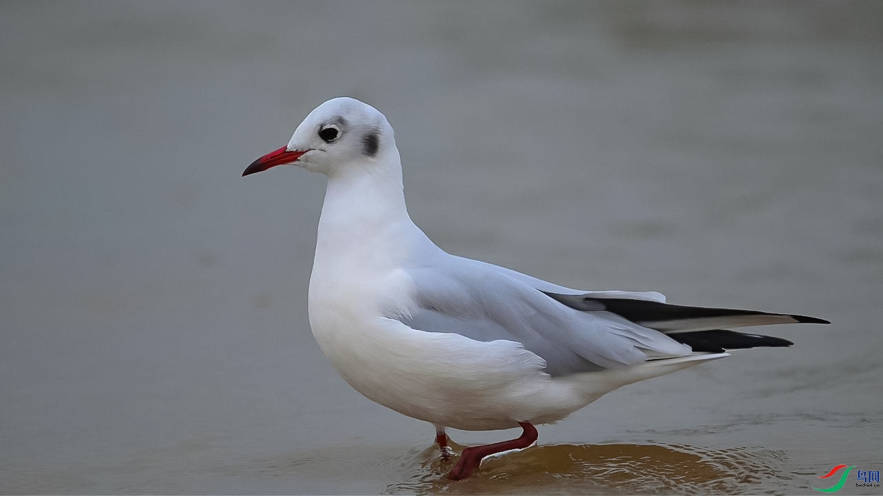 10��22�� (2)(1)-����.jpg