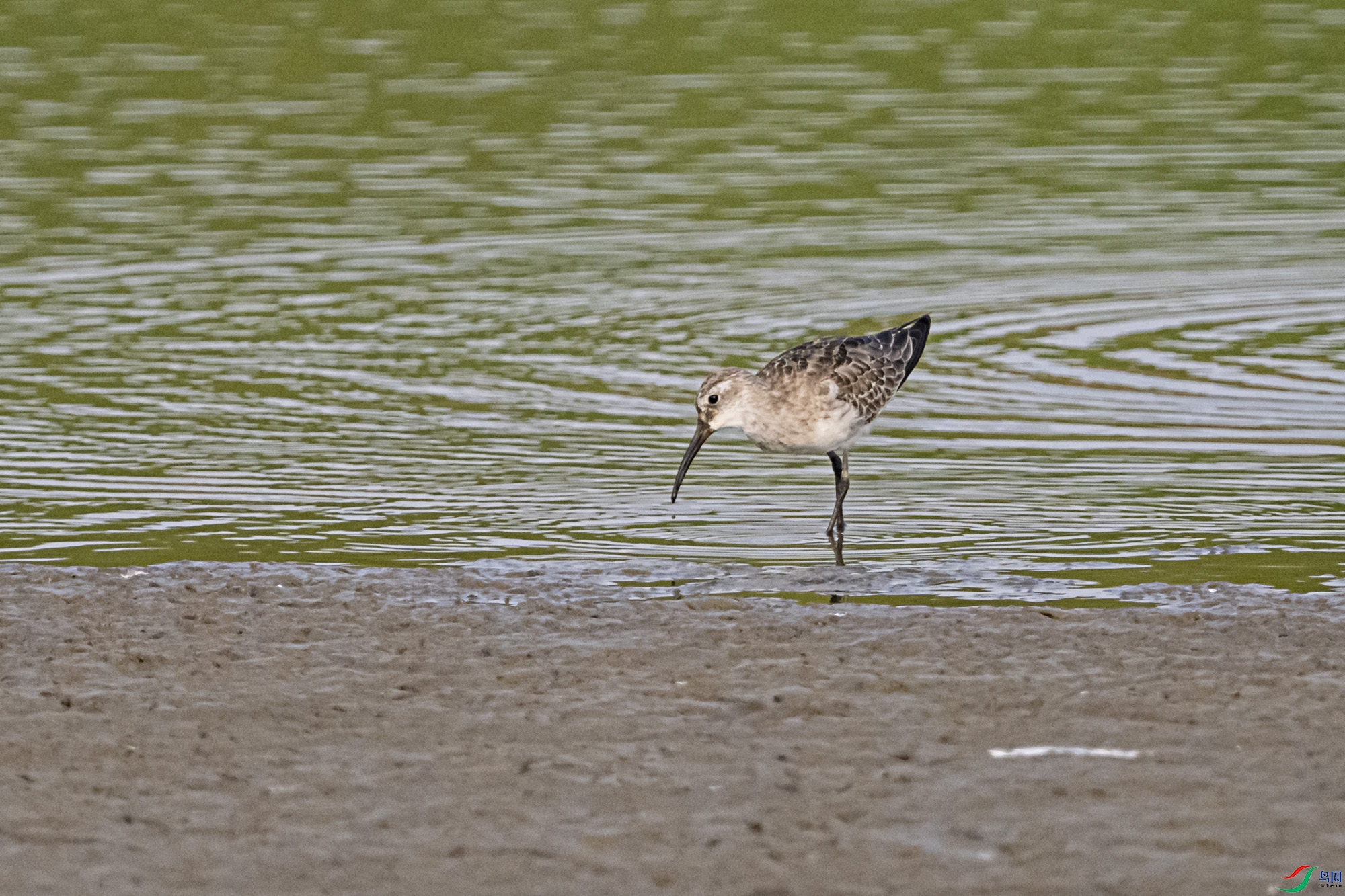 DSC_8044.jpg