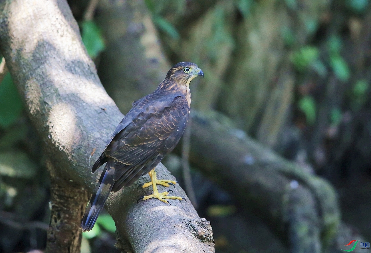 ���� IMGL0530��ȸӥ.JPG