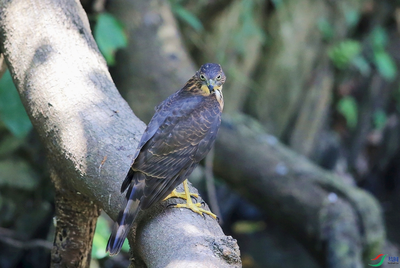 ���� IMGL0547��ȸӥ.JPG